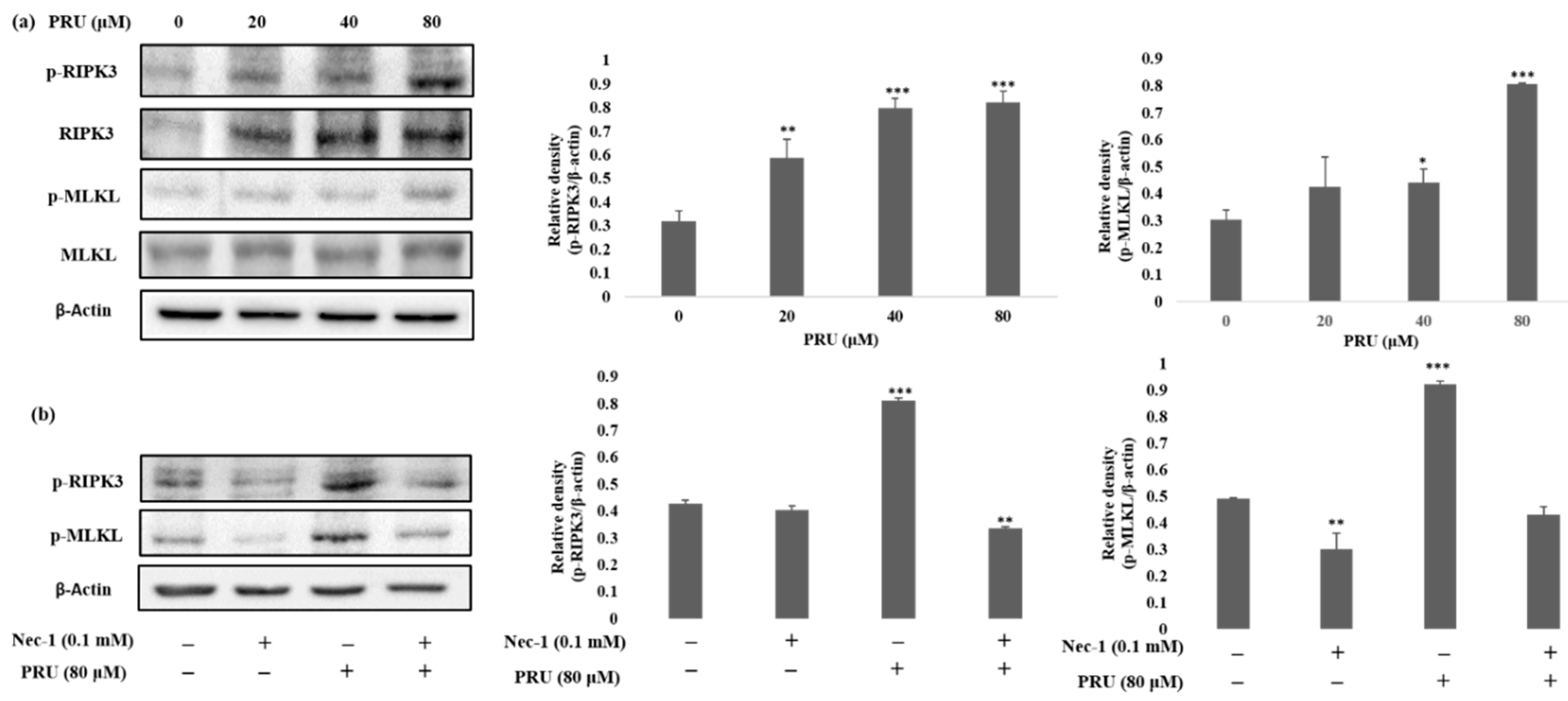 Biomolecules 10 01086 g005