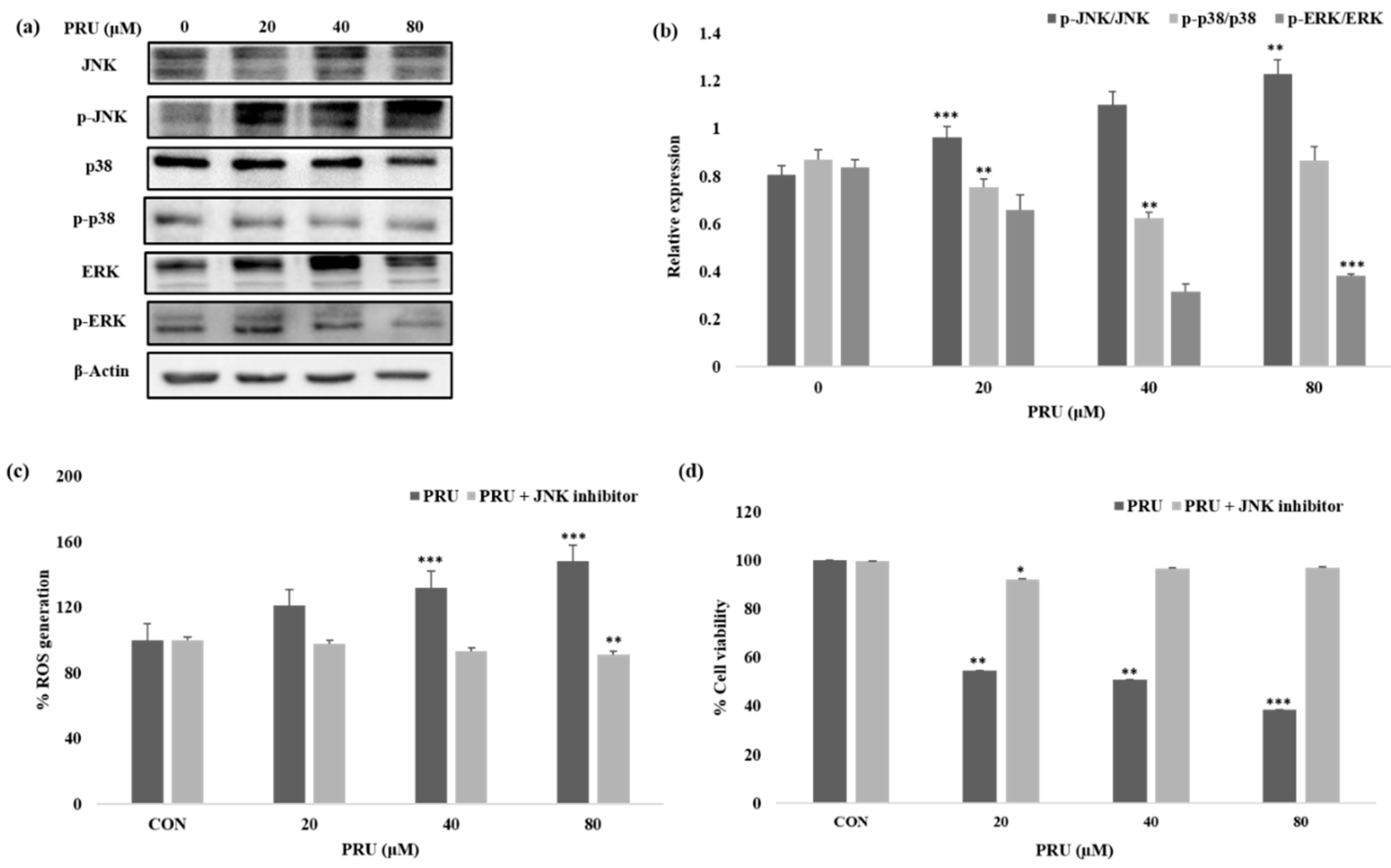 Biomolecules 10 01086 g006