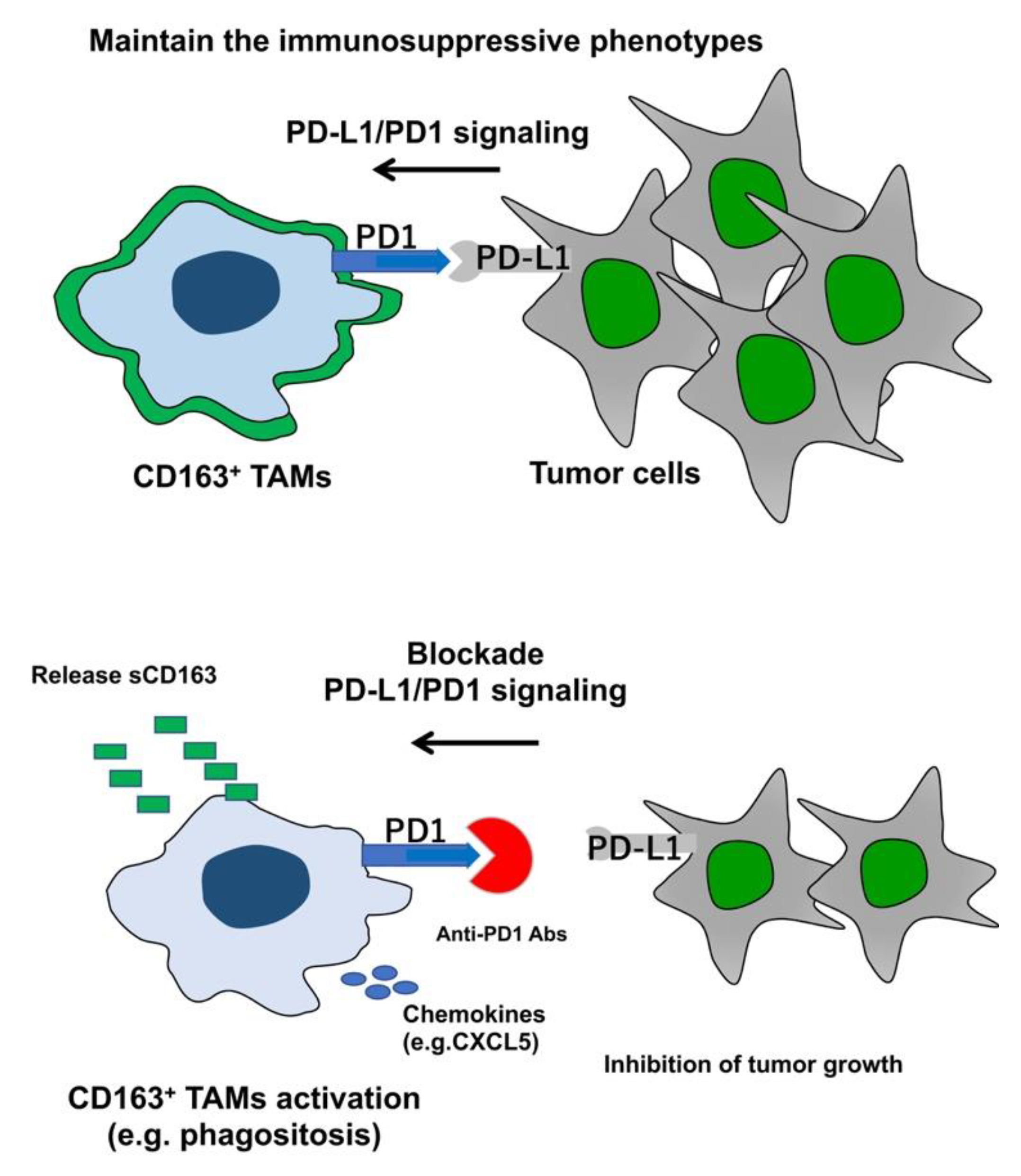 Biomolecules 10 01087 g001 Biomolecules 10 01087 g001