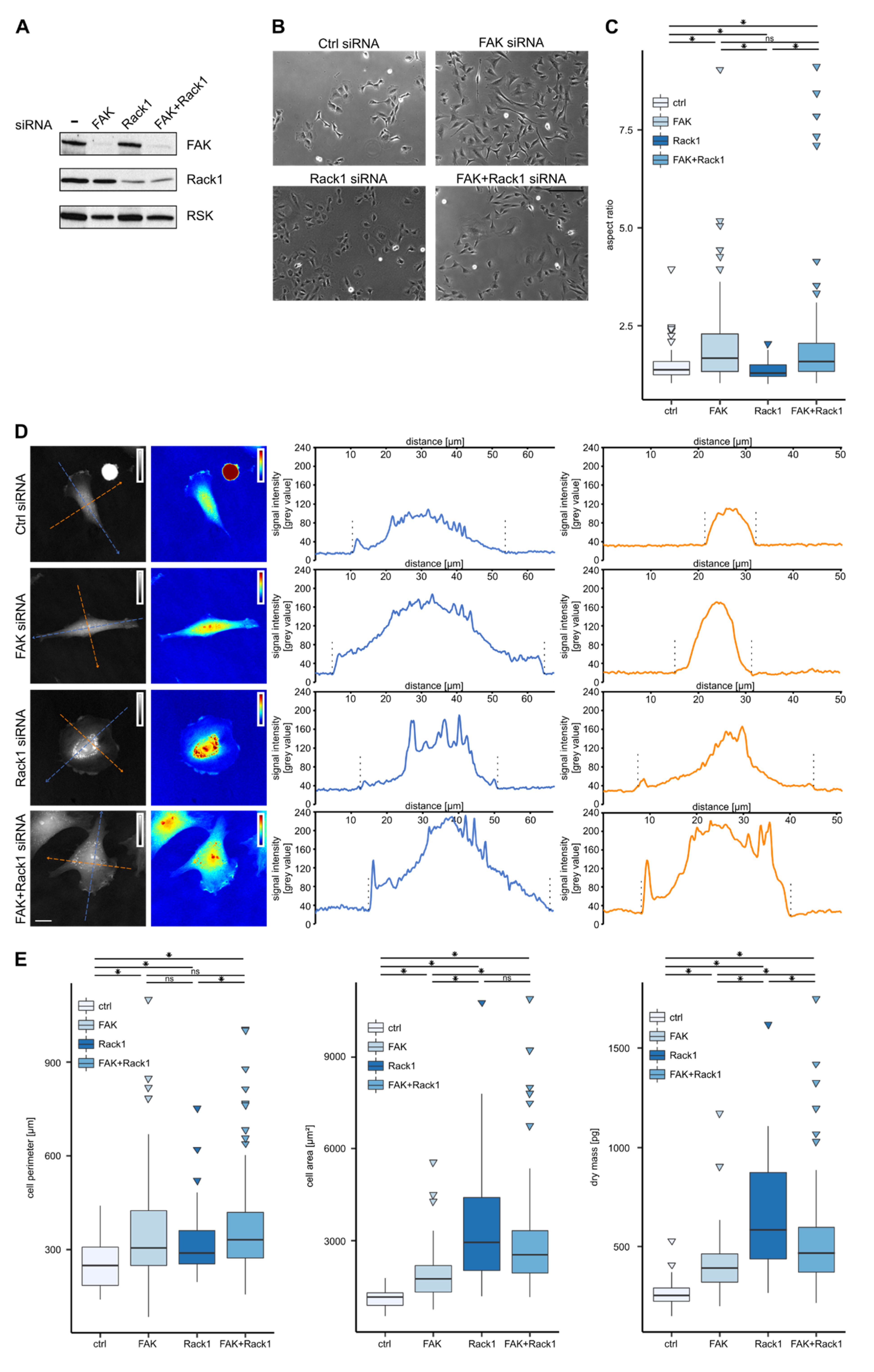 Biomolecules 10 01089 g002 Biomolecules 10 01089 g002