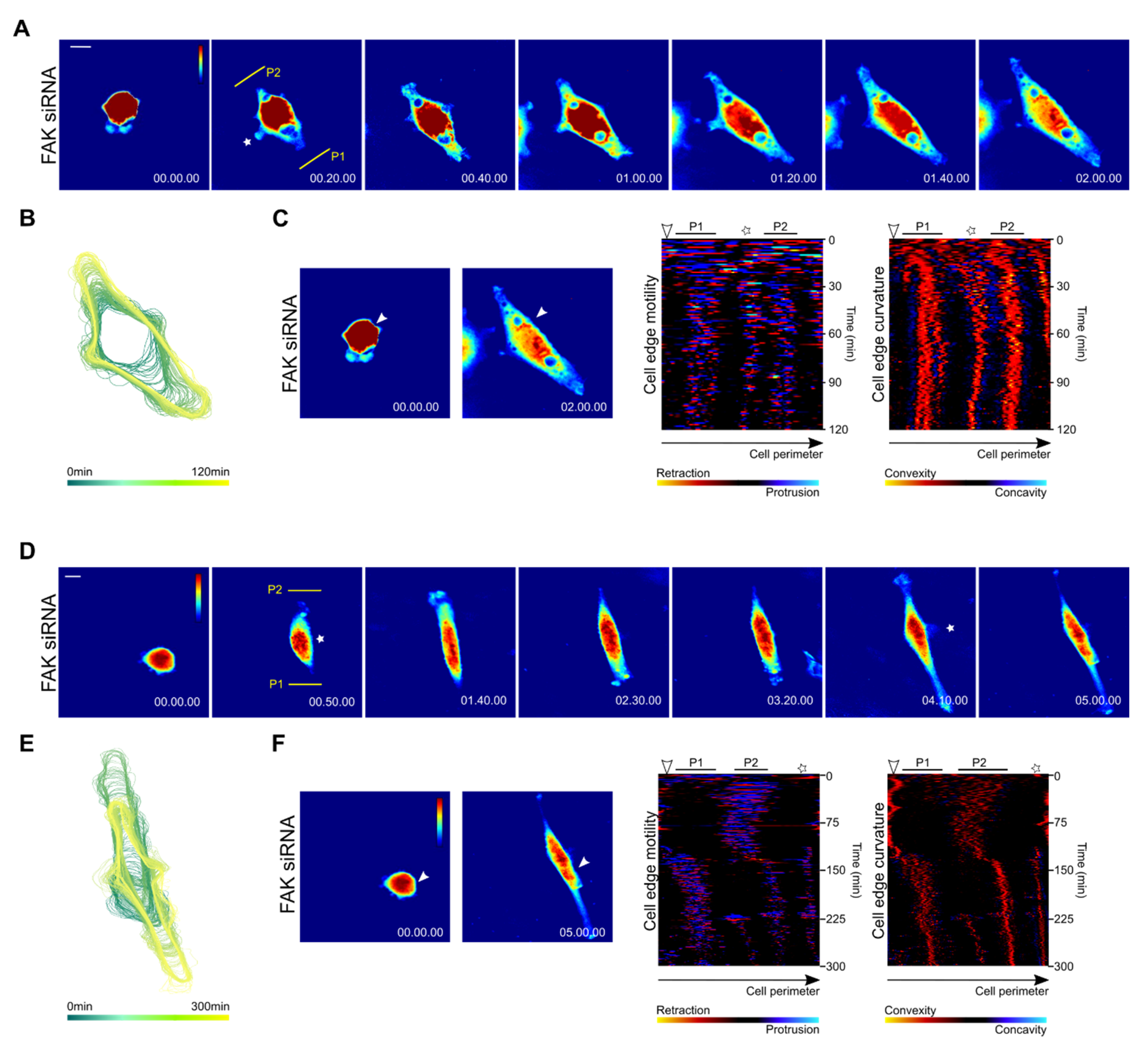 Biomolecules 10 01089 g004 Biomolecules 10 01089 g004