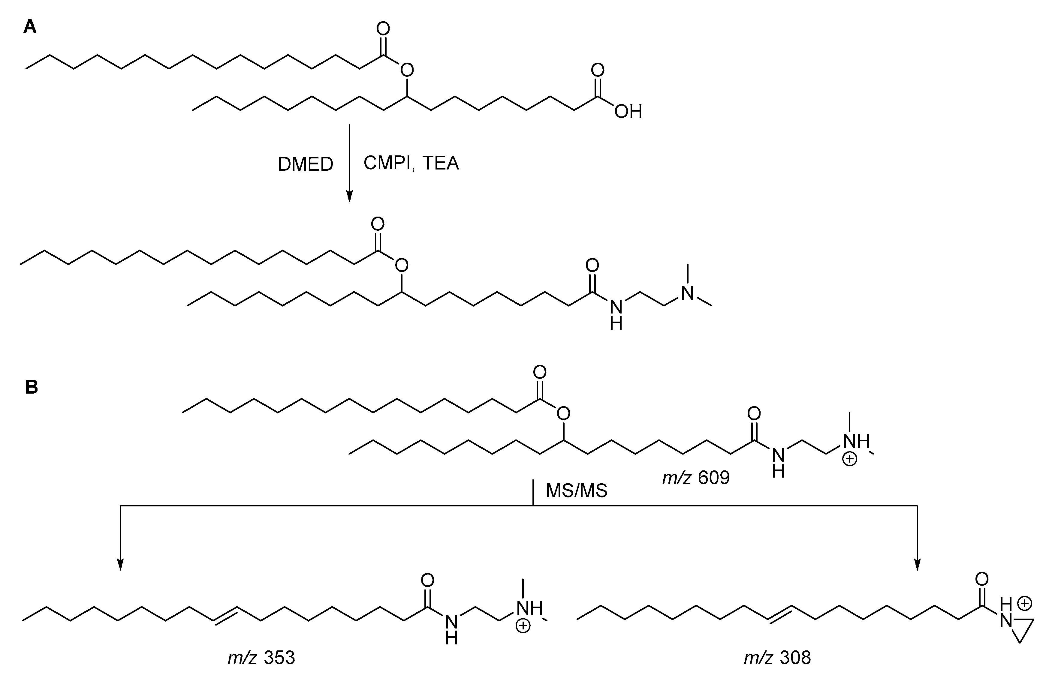 Biomolecules 10 01092 g005 Biomolecules 10 01092 g005