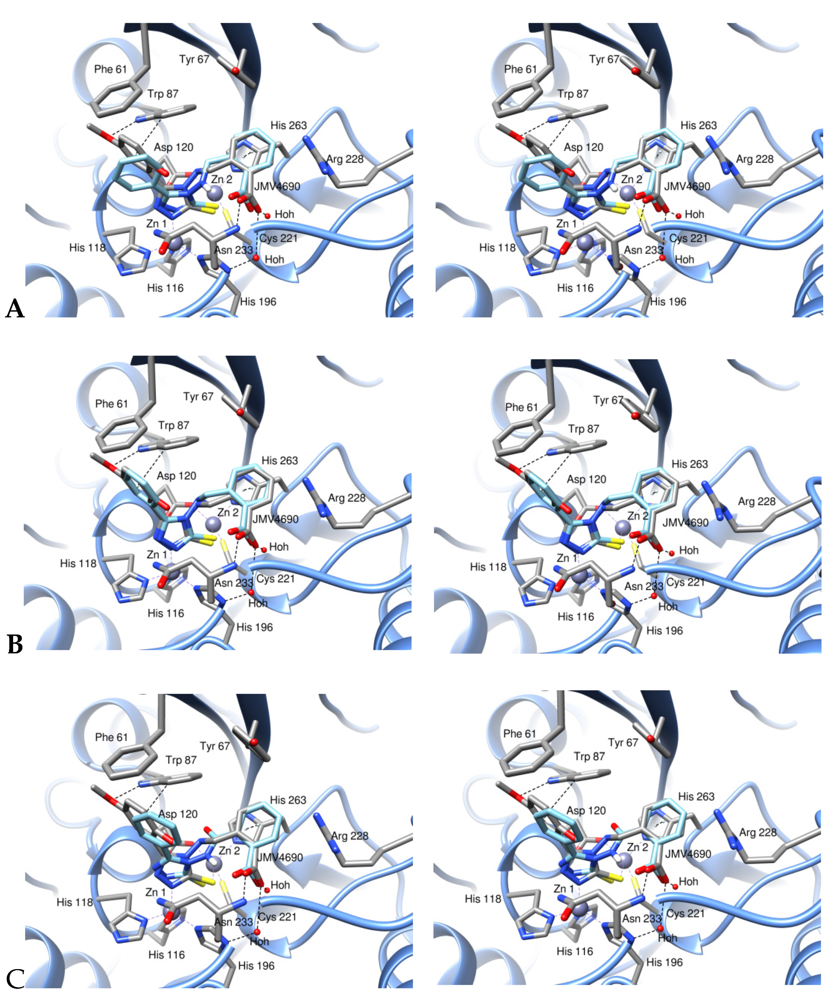 Biomolecules 10 01094 g003 Biomolecules 10 01094 g003
