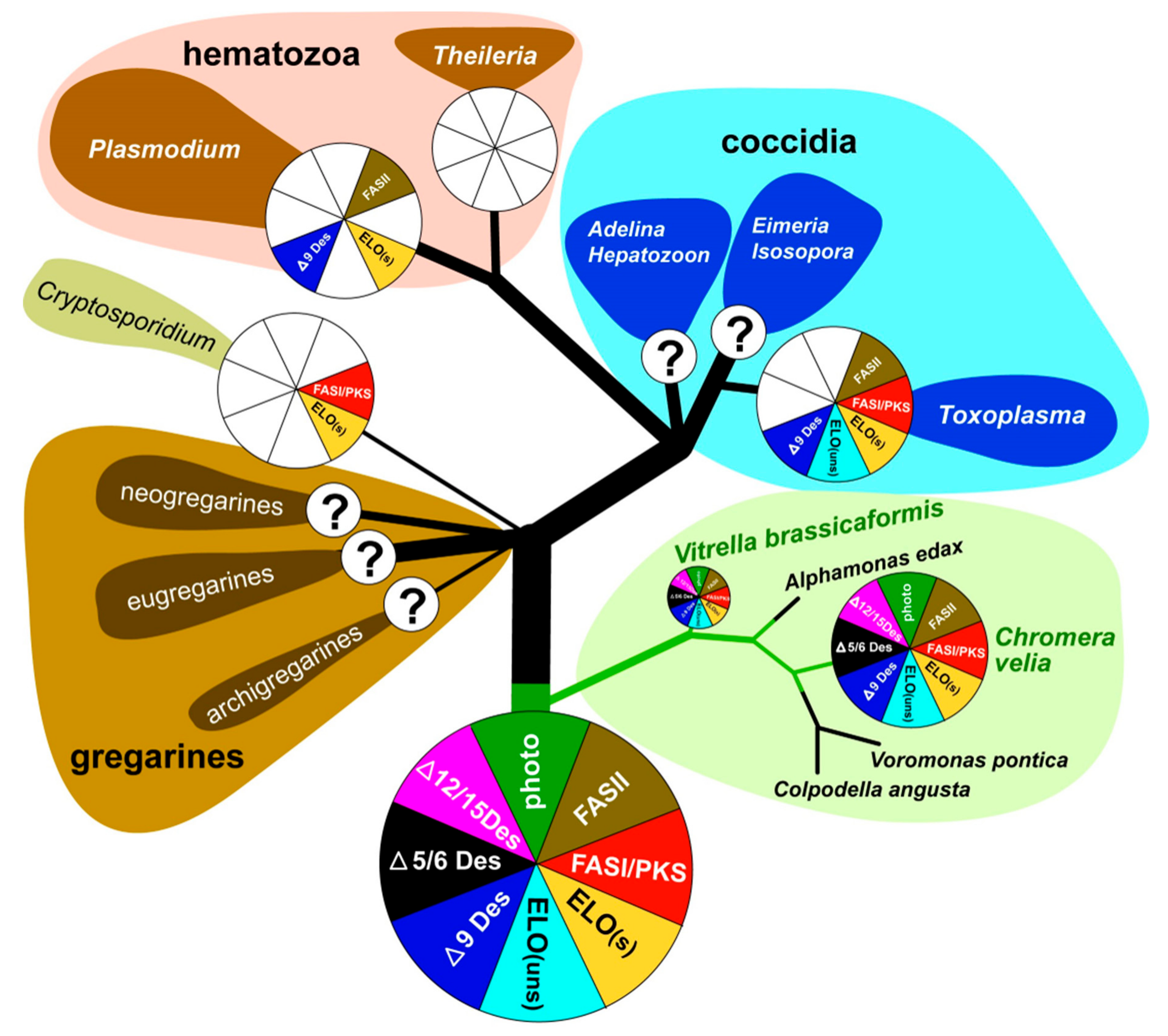 Biomolecules 10 01102 g009 Biomolecules 10 01102 g009