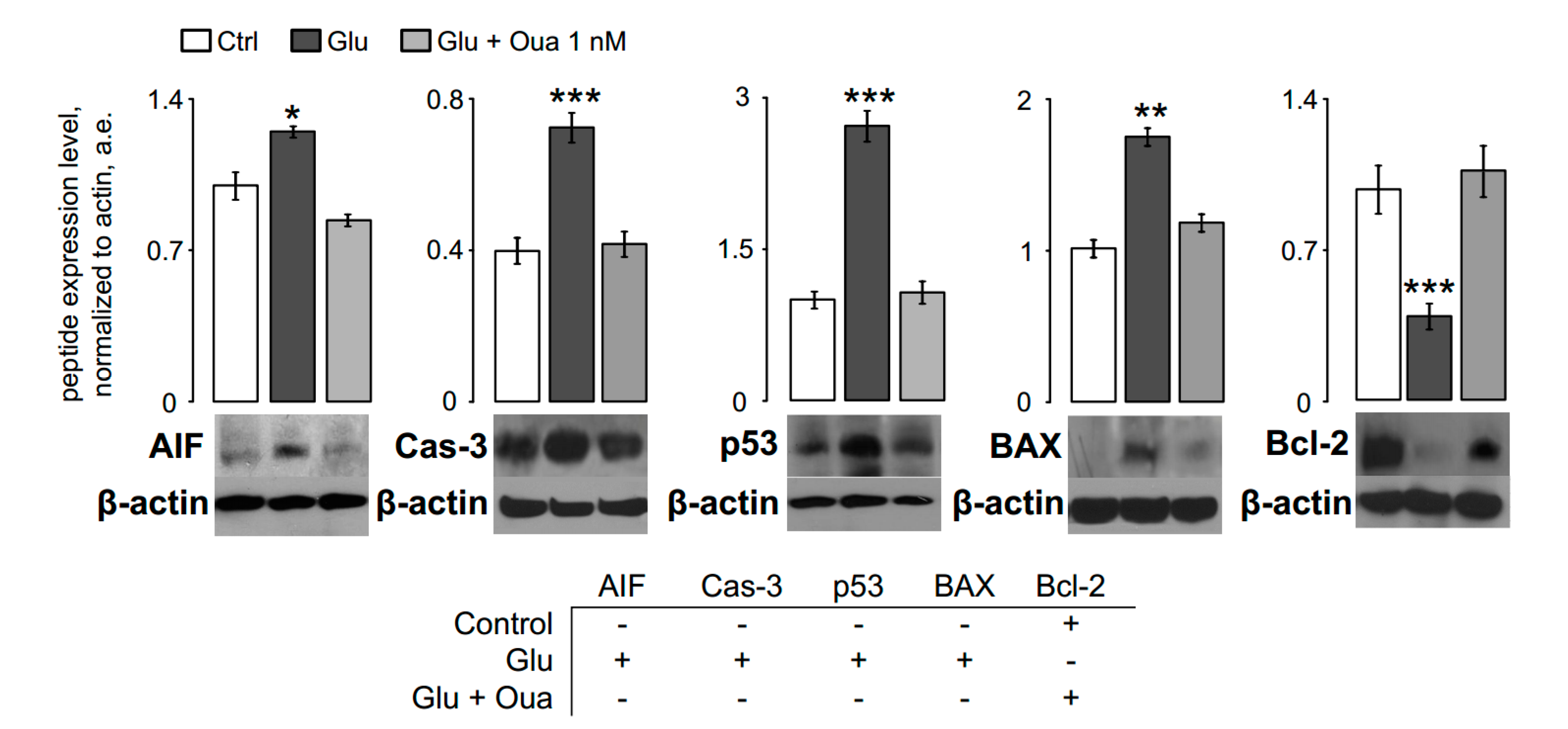 Biomolecules 10 01104 g002 Biomolecules 10 01104 g002