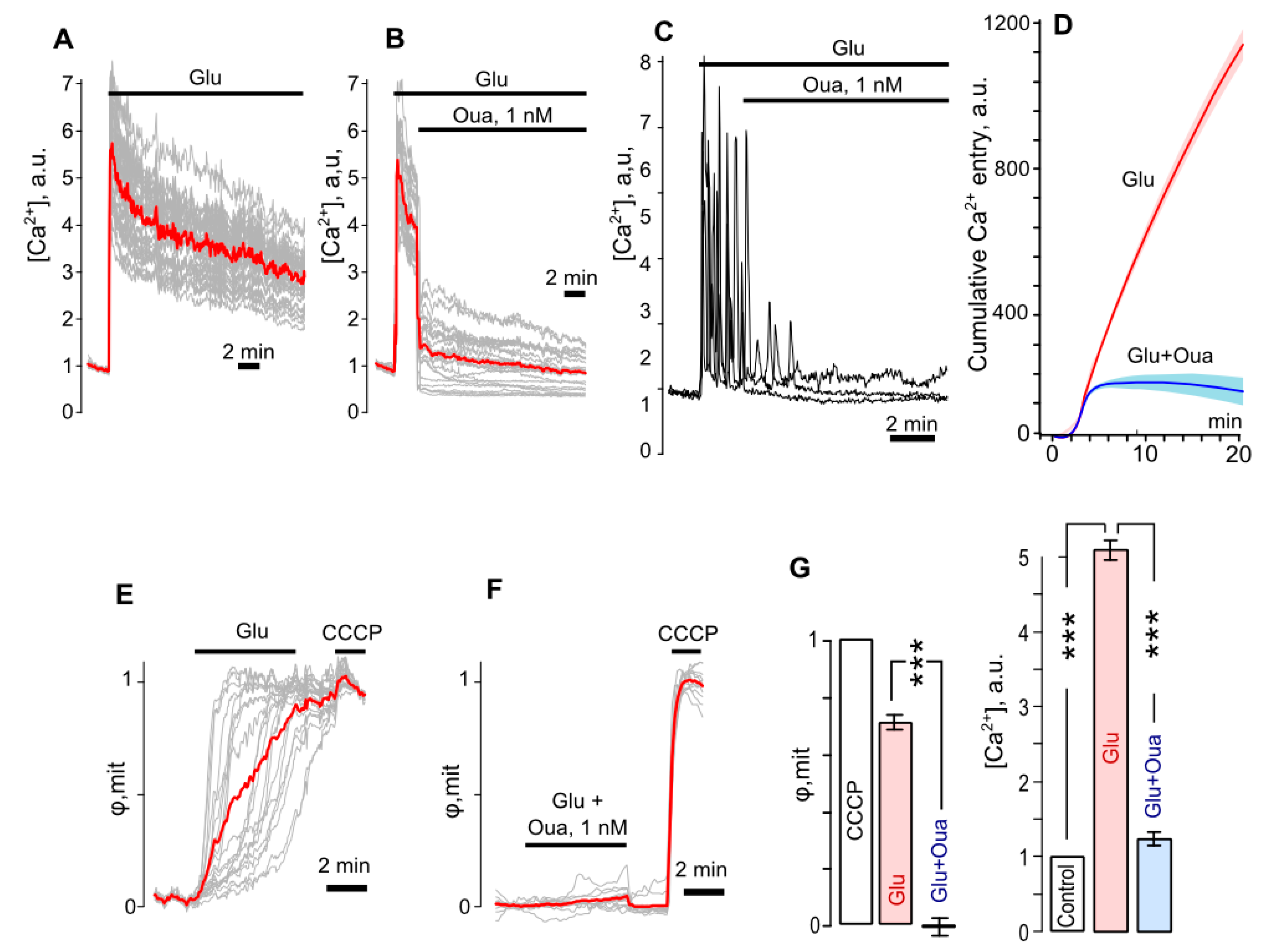 Biomolecules 10 01104 g003 Biomolecules 10 01104 g003