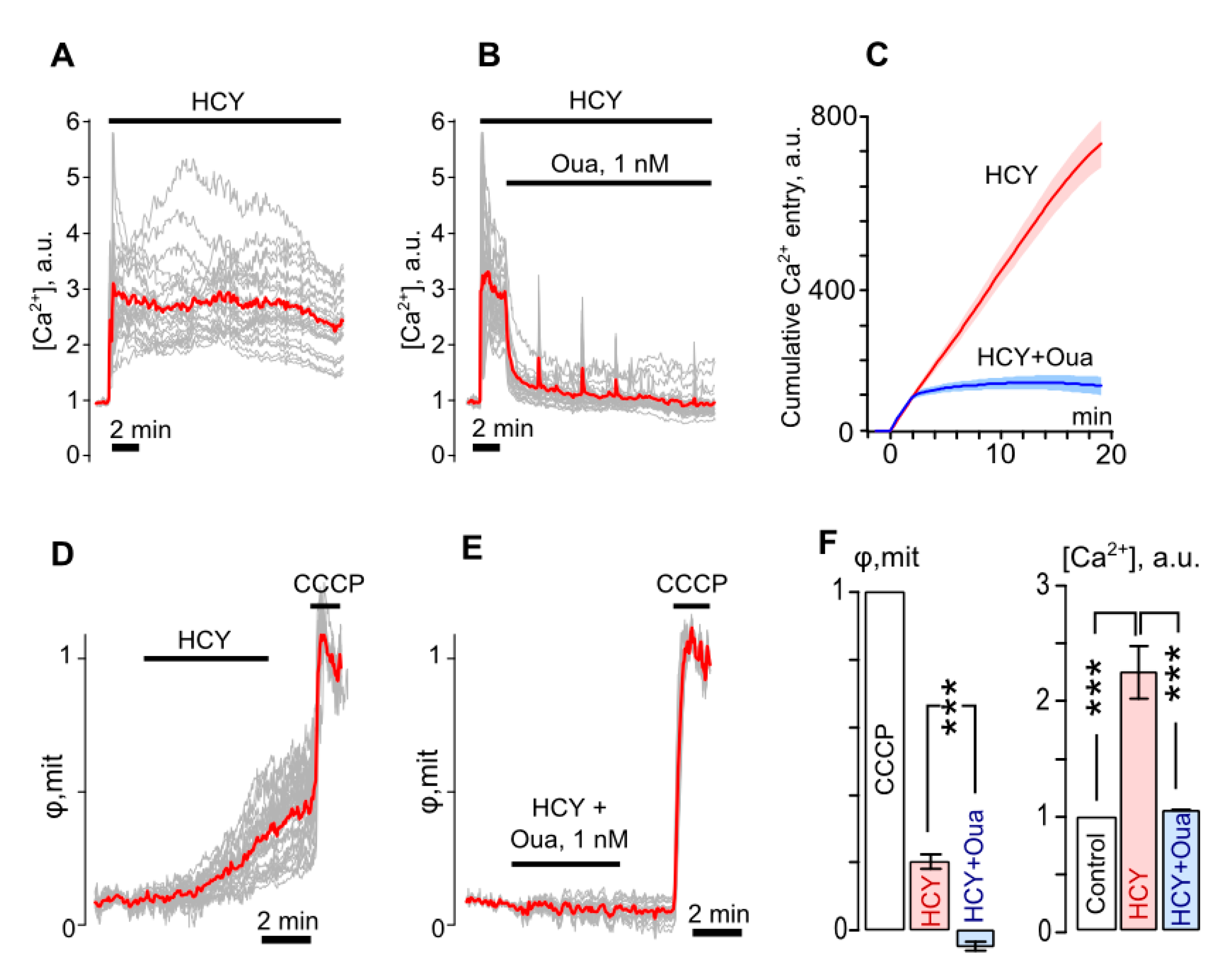Biomolecules 10 01104 g004 Biomolecules 10 01104 g004