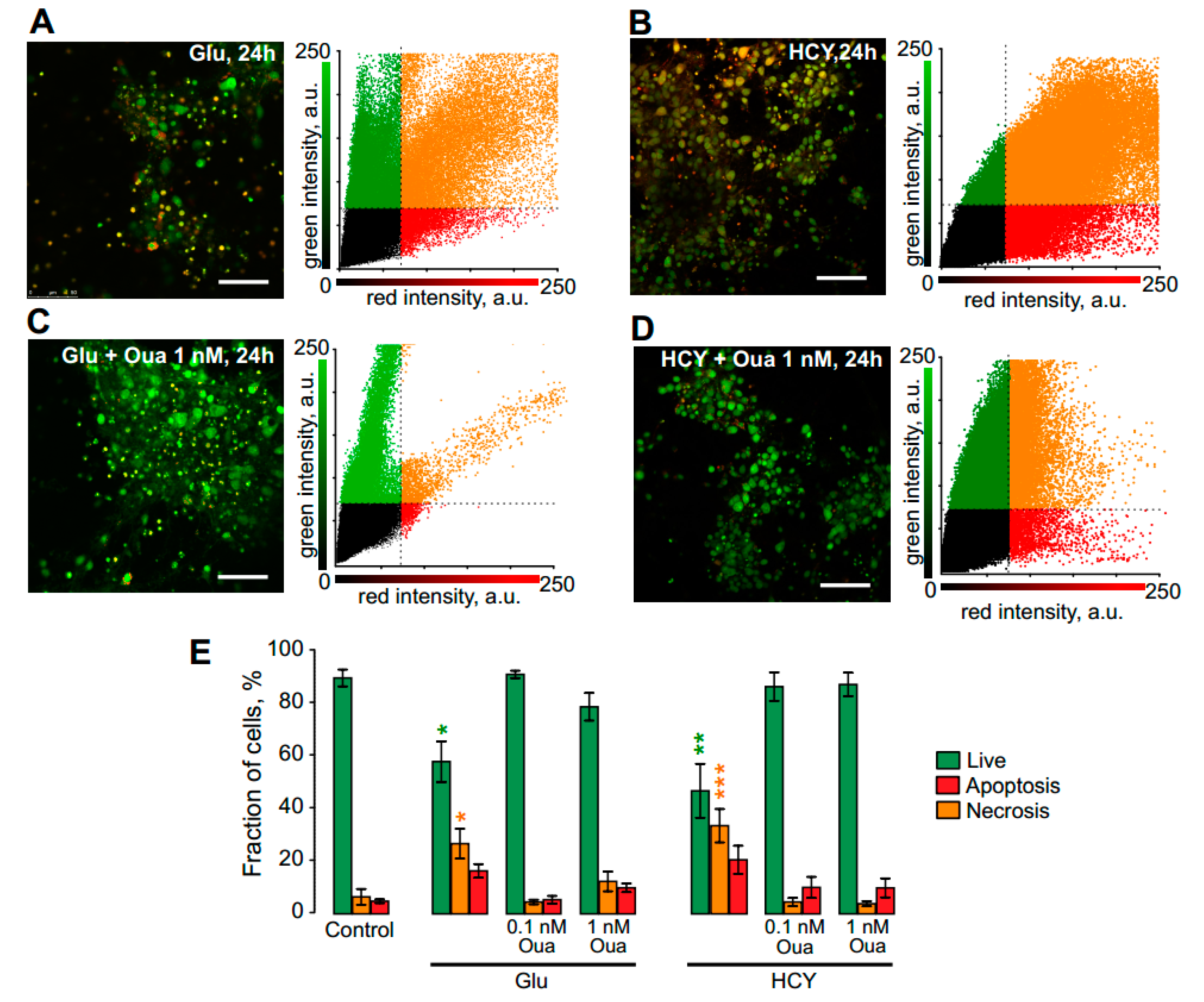 Biomolecules 10 01104 g005 Biomolecules 10 01104 g005