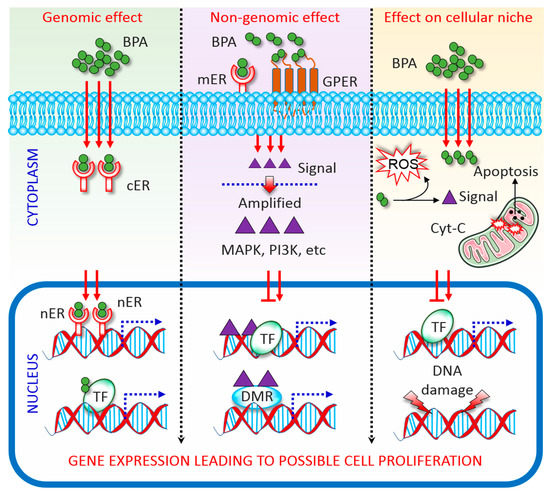 Biomolecules 10 01105 g001 550