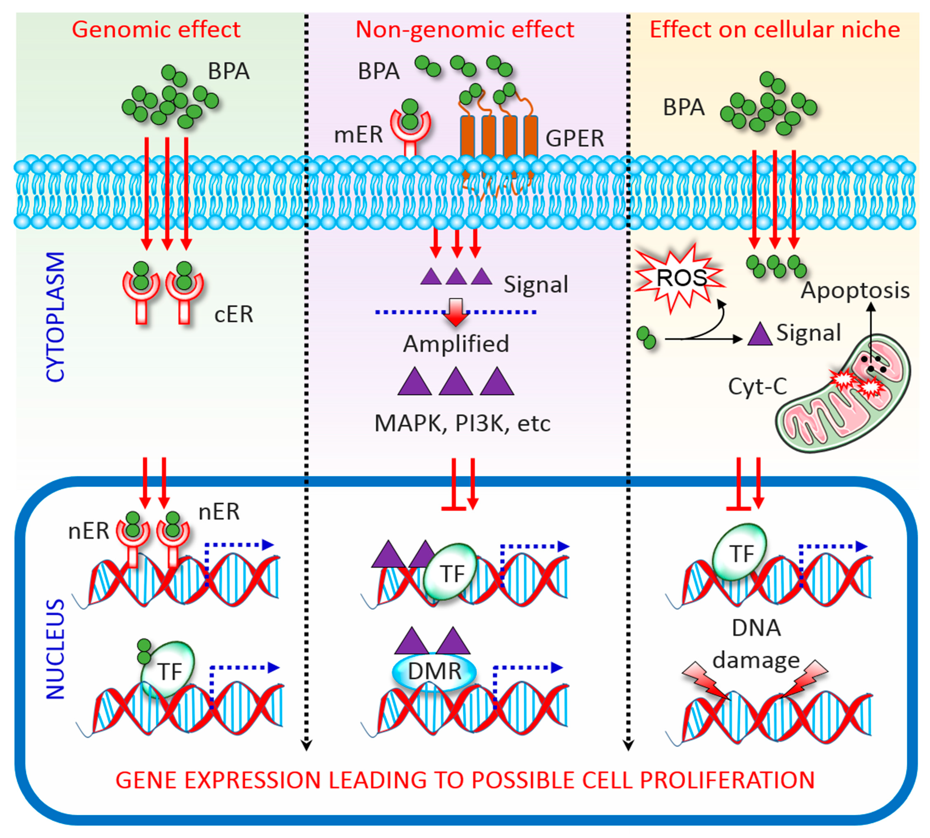 Biomolecules 10 01105 g001 Biomolecules 10 01105 g001