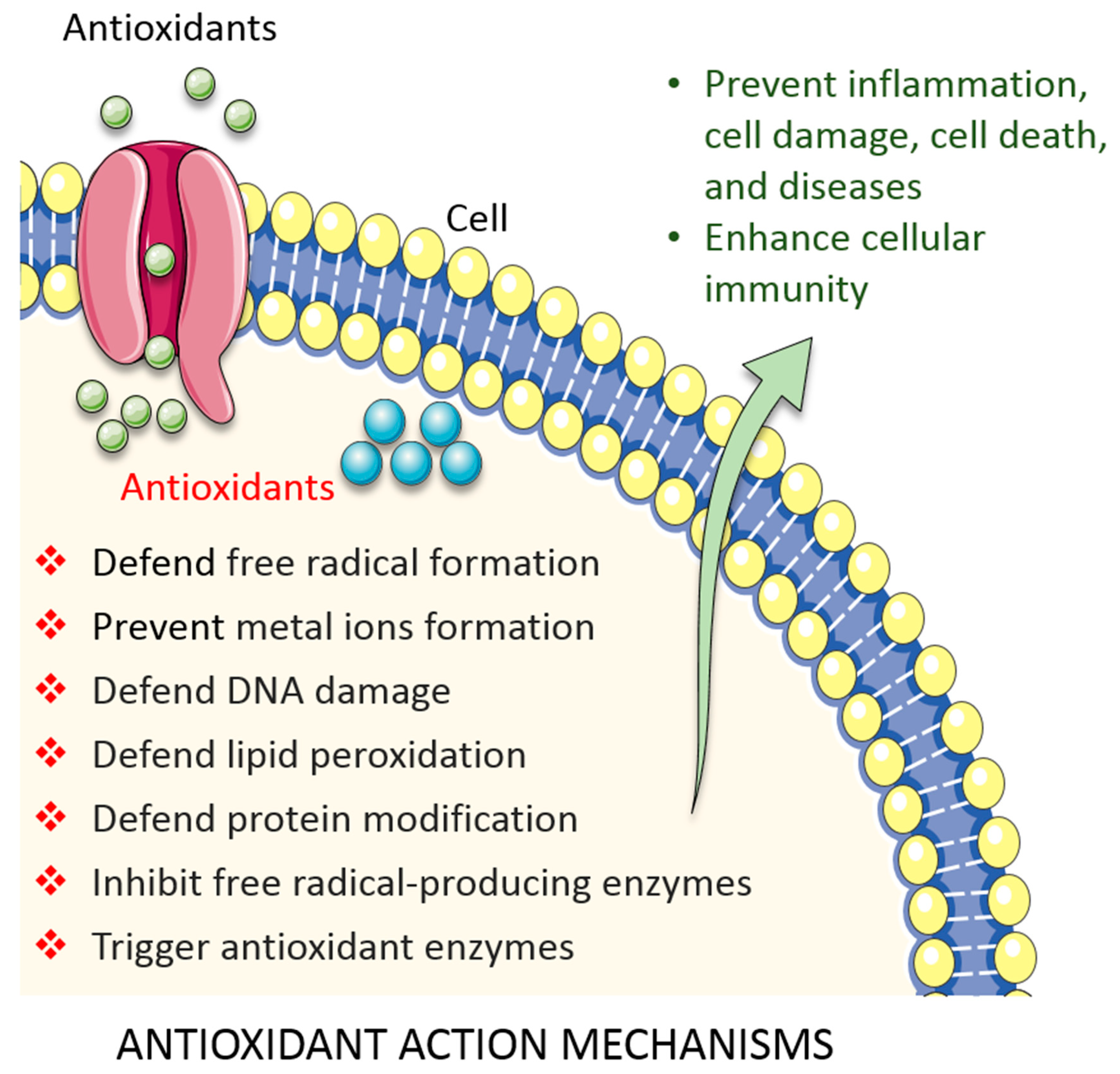 Biomolecules 10 01105 g002 Biomolecules 10 01105 g002