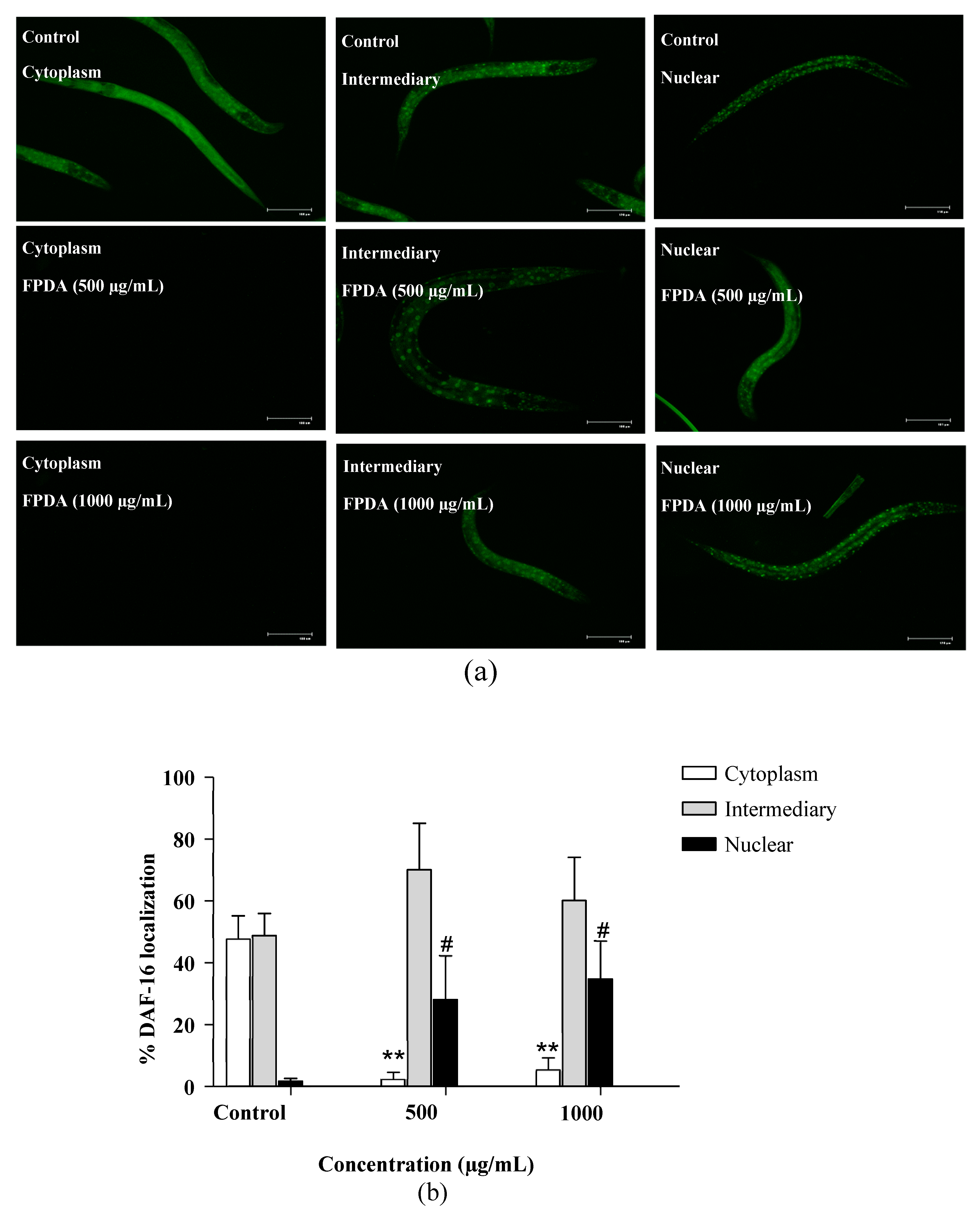 Biomolecules 10 01106 g008