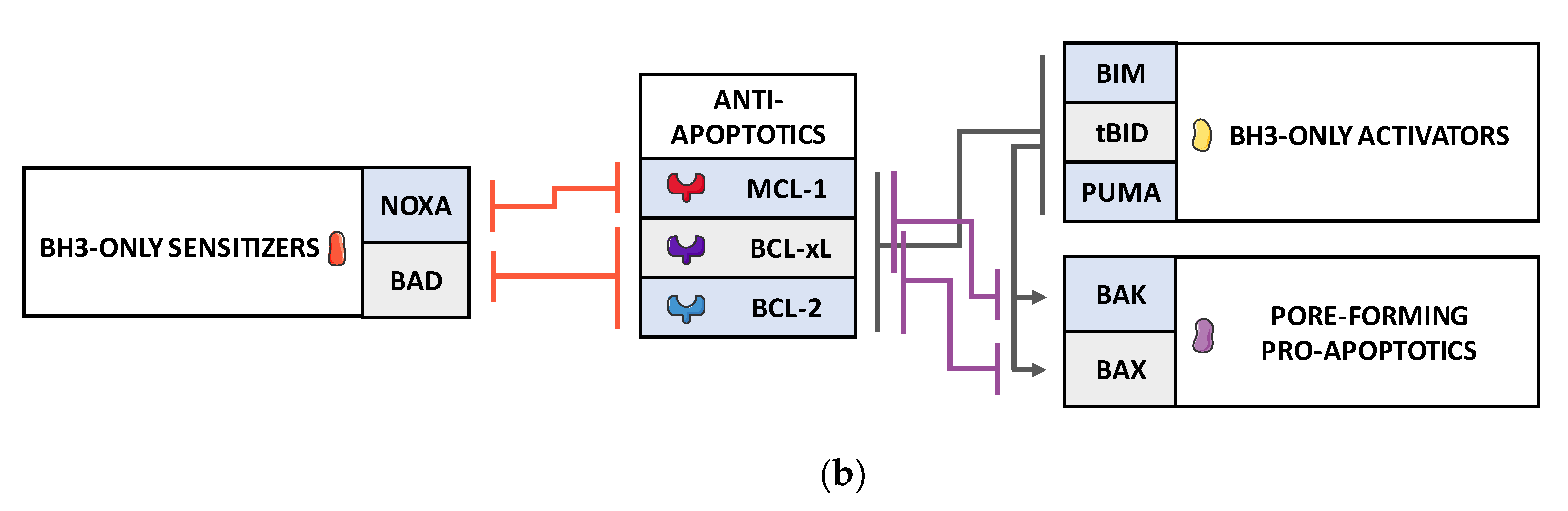 Biomolecules 10 01109 g001b Biomolecules 10 01109 g001b