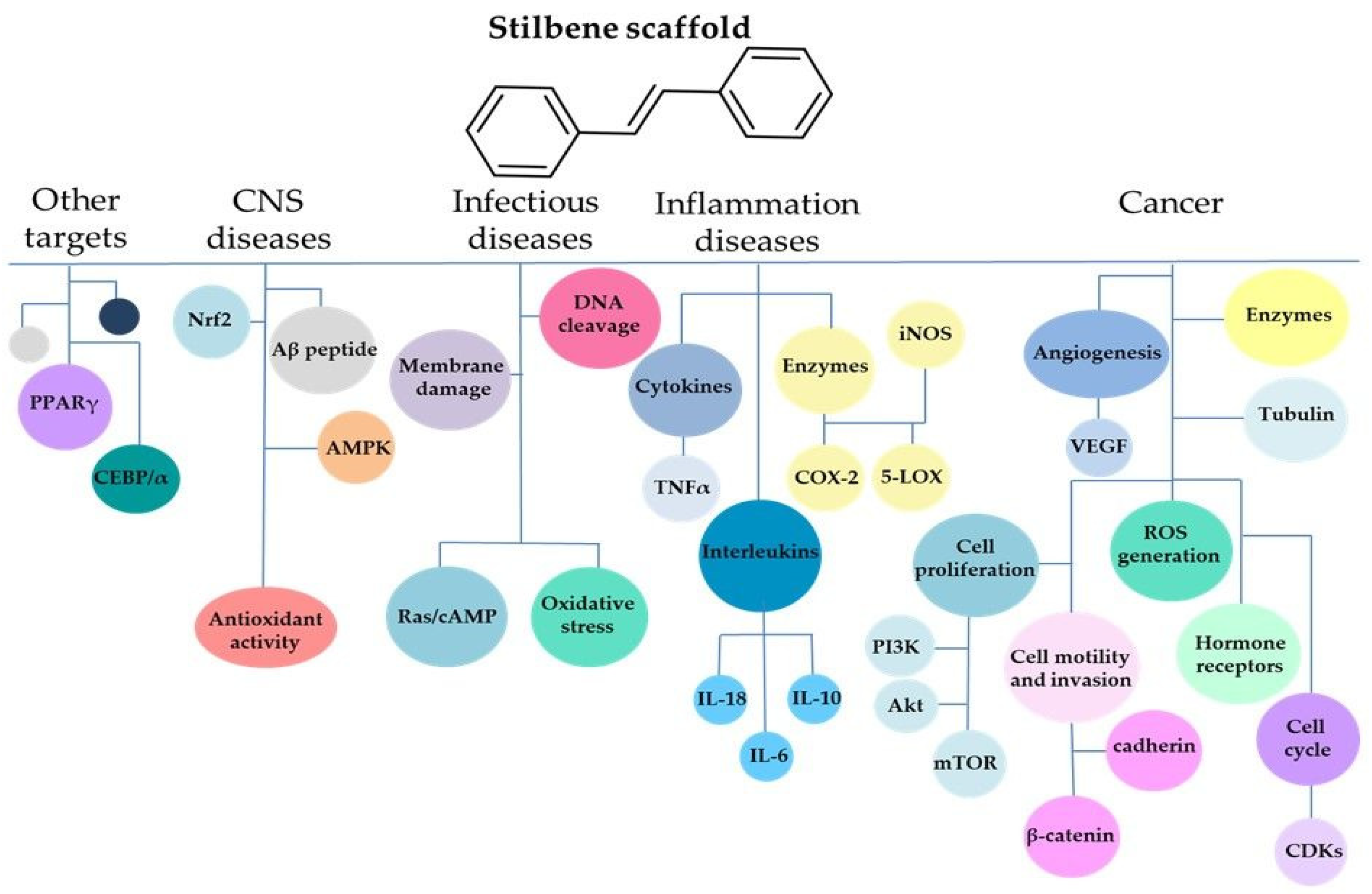 Biomolecules 10 01111 g001