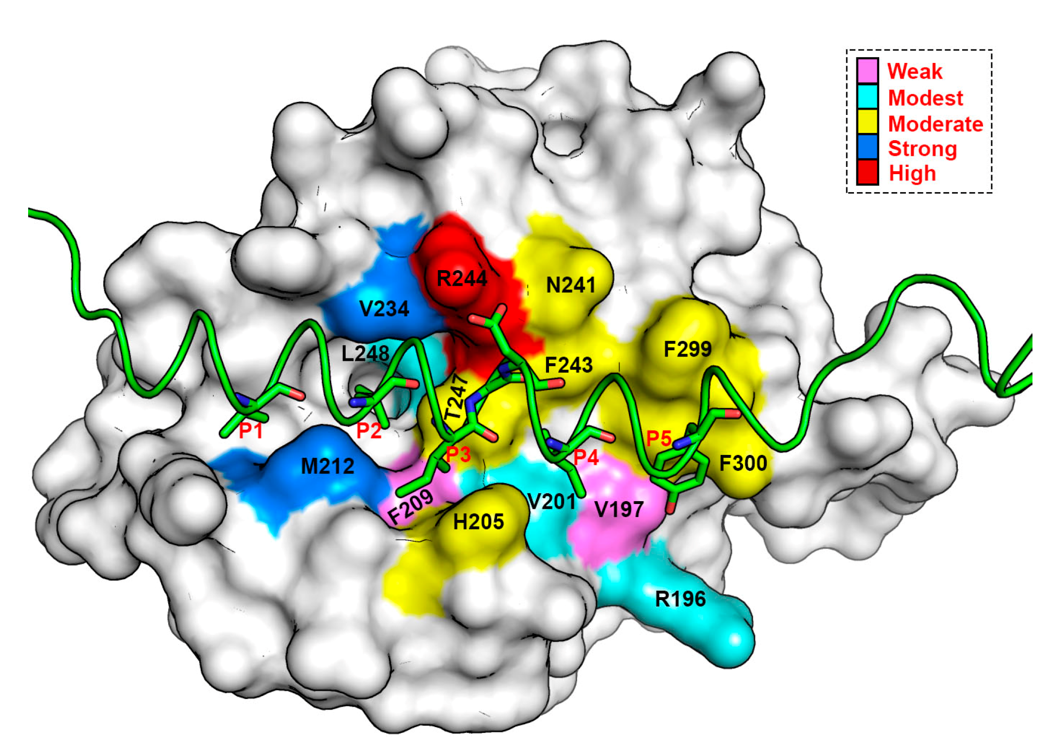 Biomolecules 10 01114 g009 Biomolecules 10 01114 g009