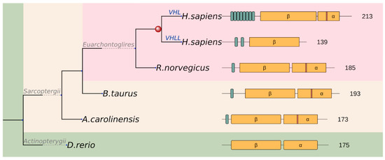 Evolution of Cancer\r
英語版 Ancient Evolutionary Origin of Intrinsically Disordered