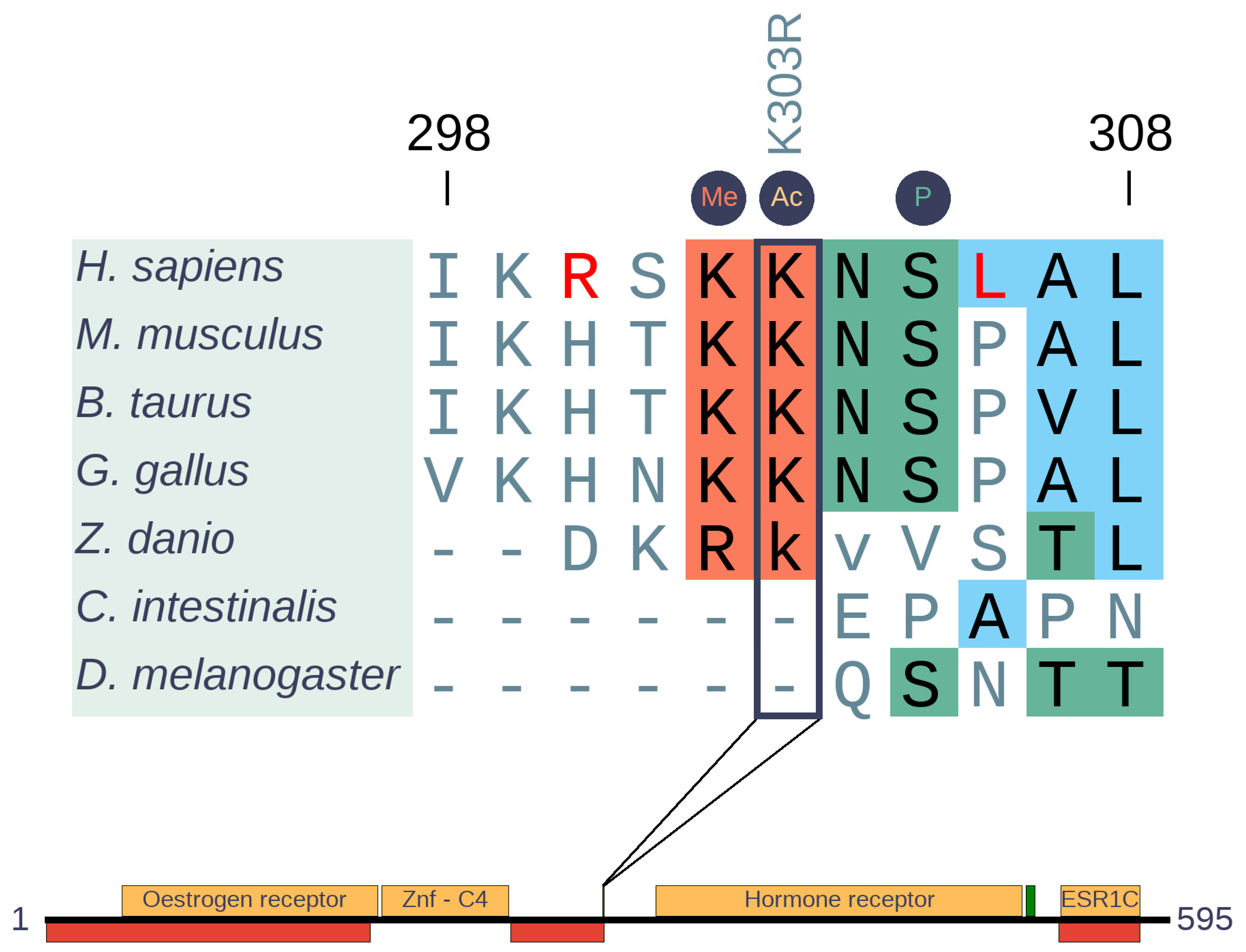 Biomolecules 10 01115 g007 Biomolecules 10 01115 g007