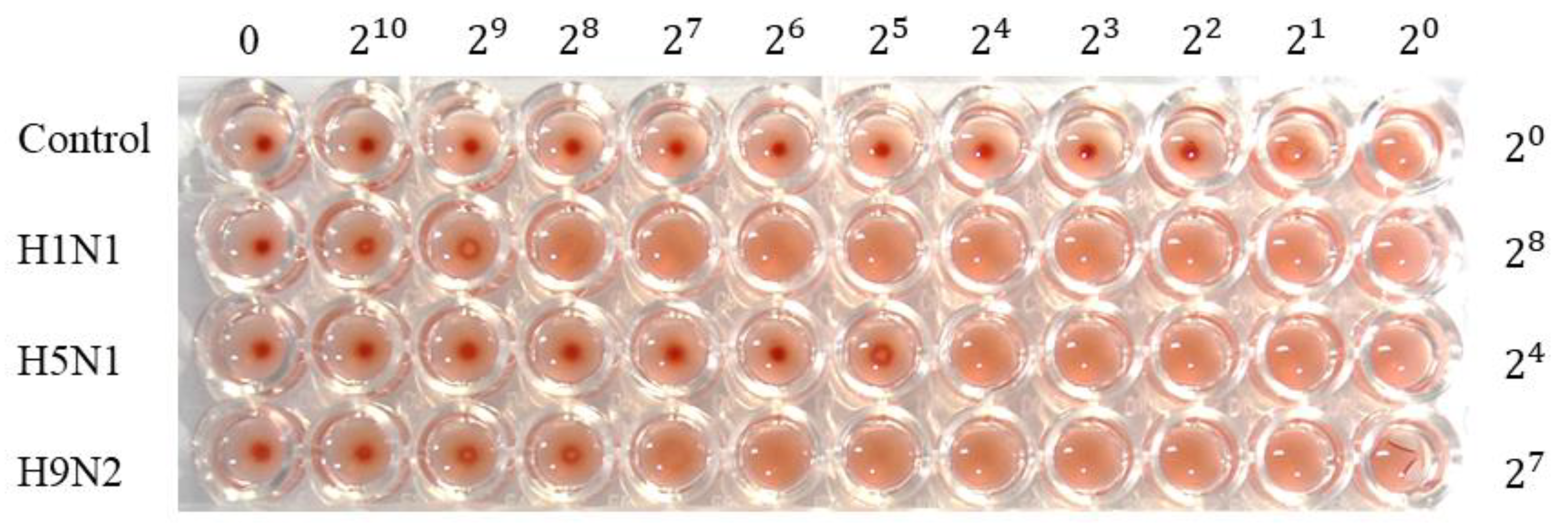 Biomolecules 10 01116 g004