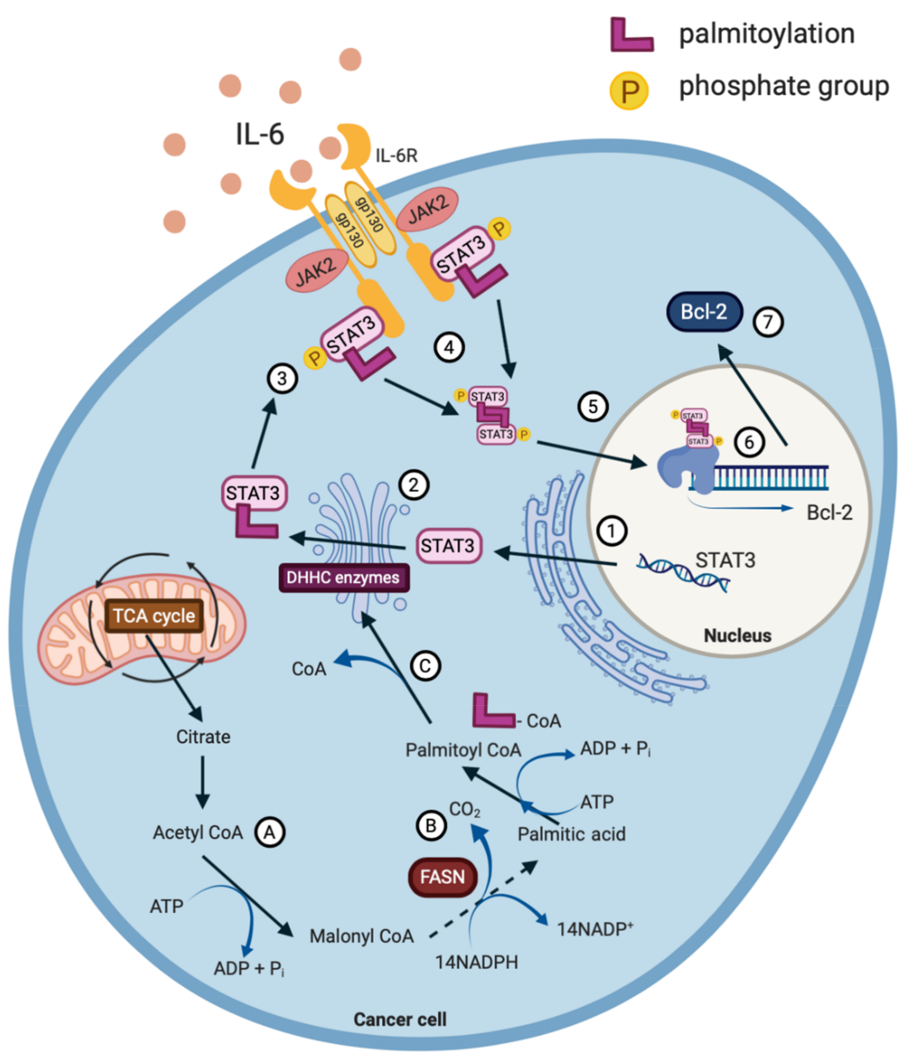 Biomolecules 10 01118 g002 Biomolecules 10 01118 g002