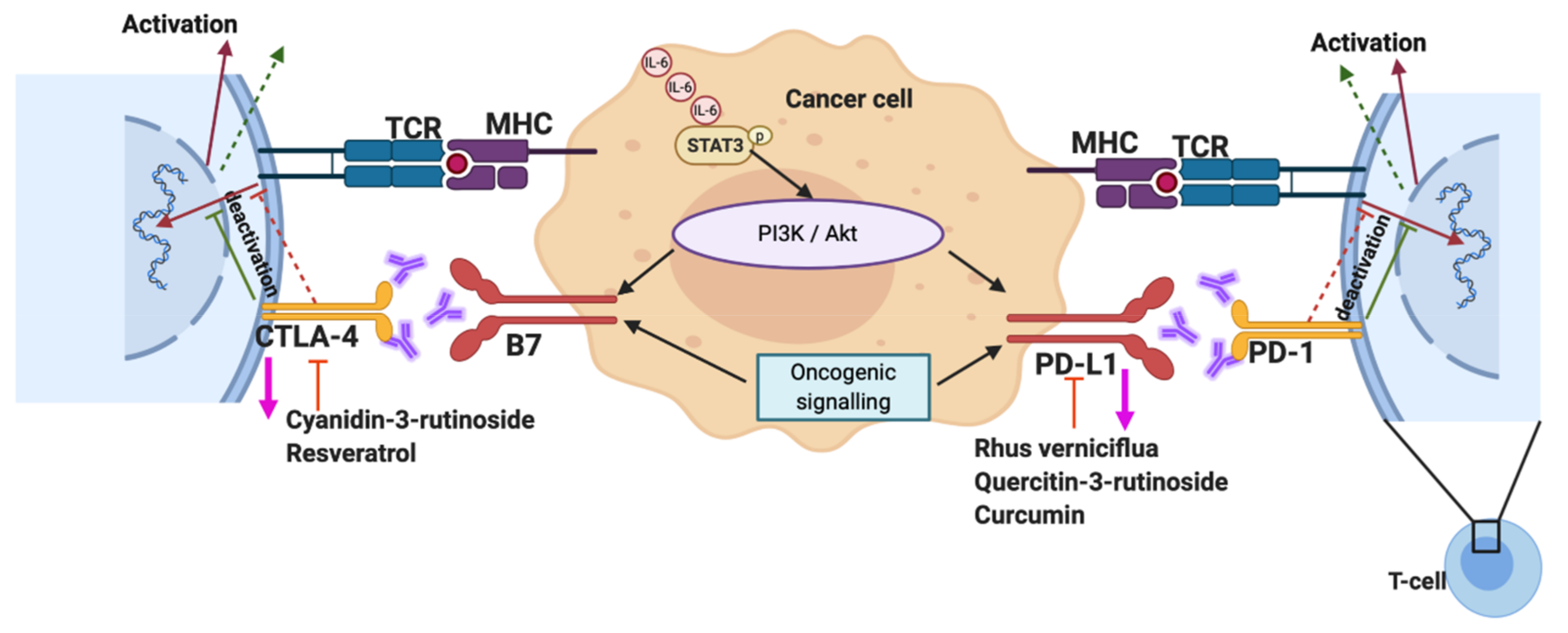 Biomolecules 10 01118 g003 Biomolecules 10 01118 g003