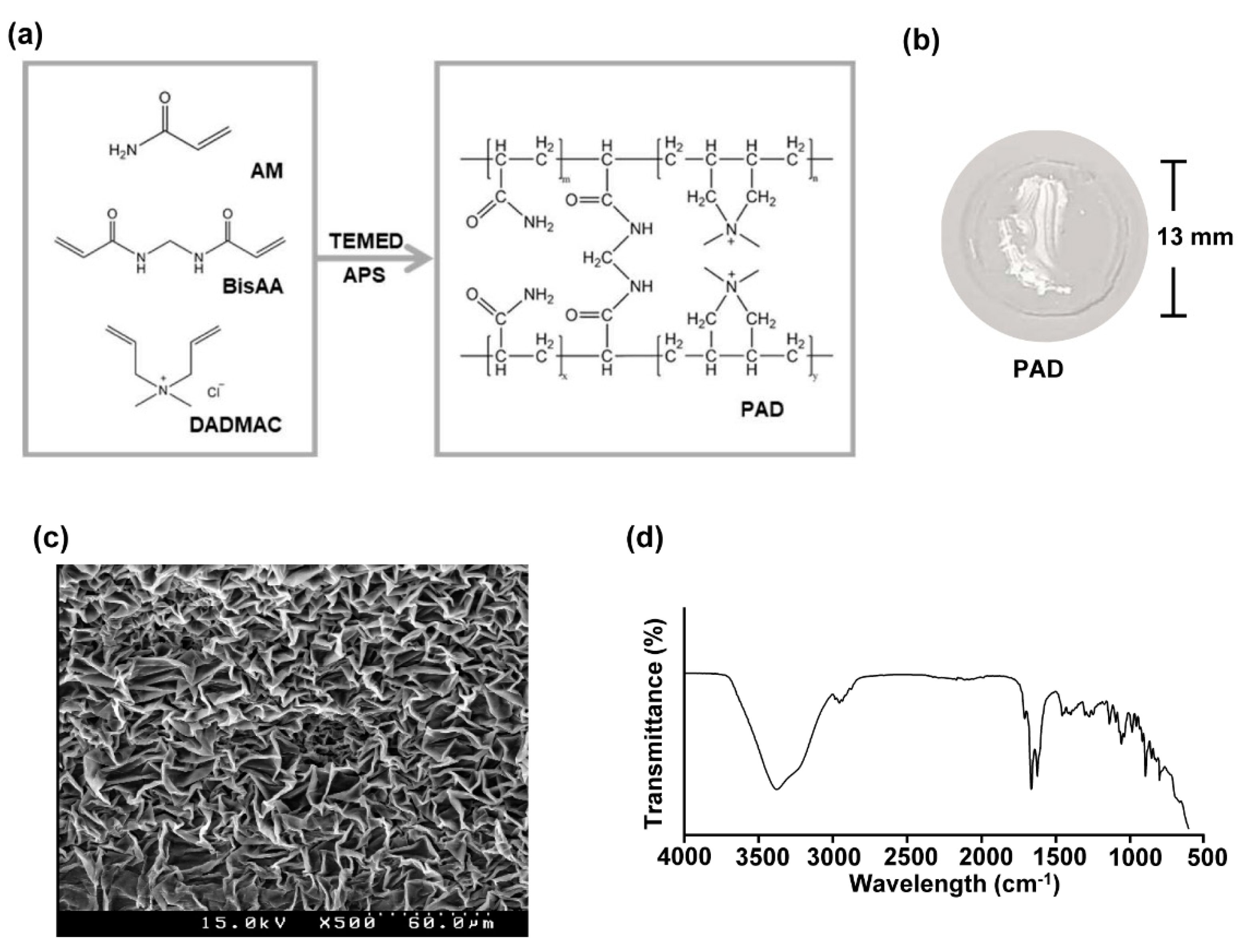 Biomolecules 10 01124 g001 Biomolecules 10 01124 g001