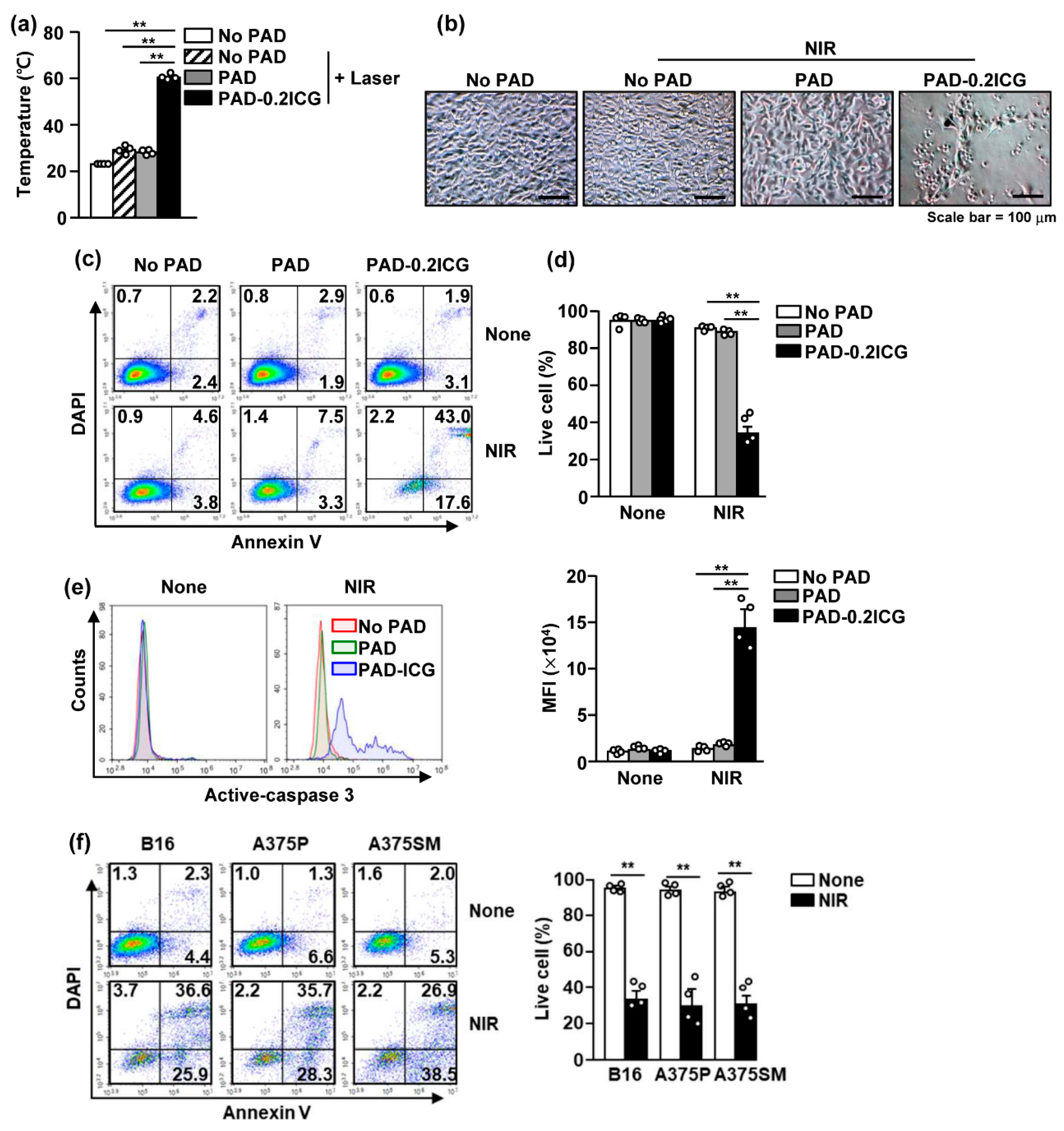 Biomolecules 10 01124 g003 Biomolecules 10 01124 g003