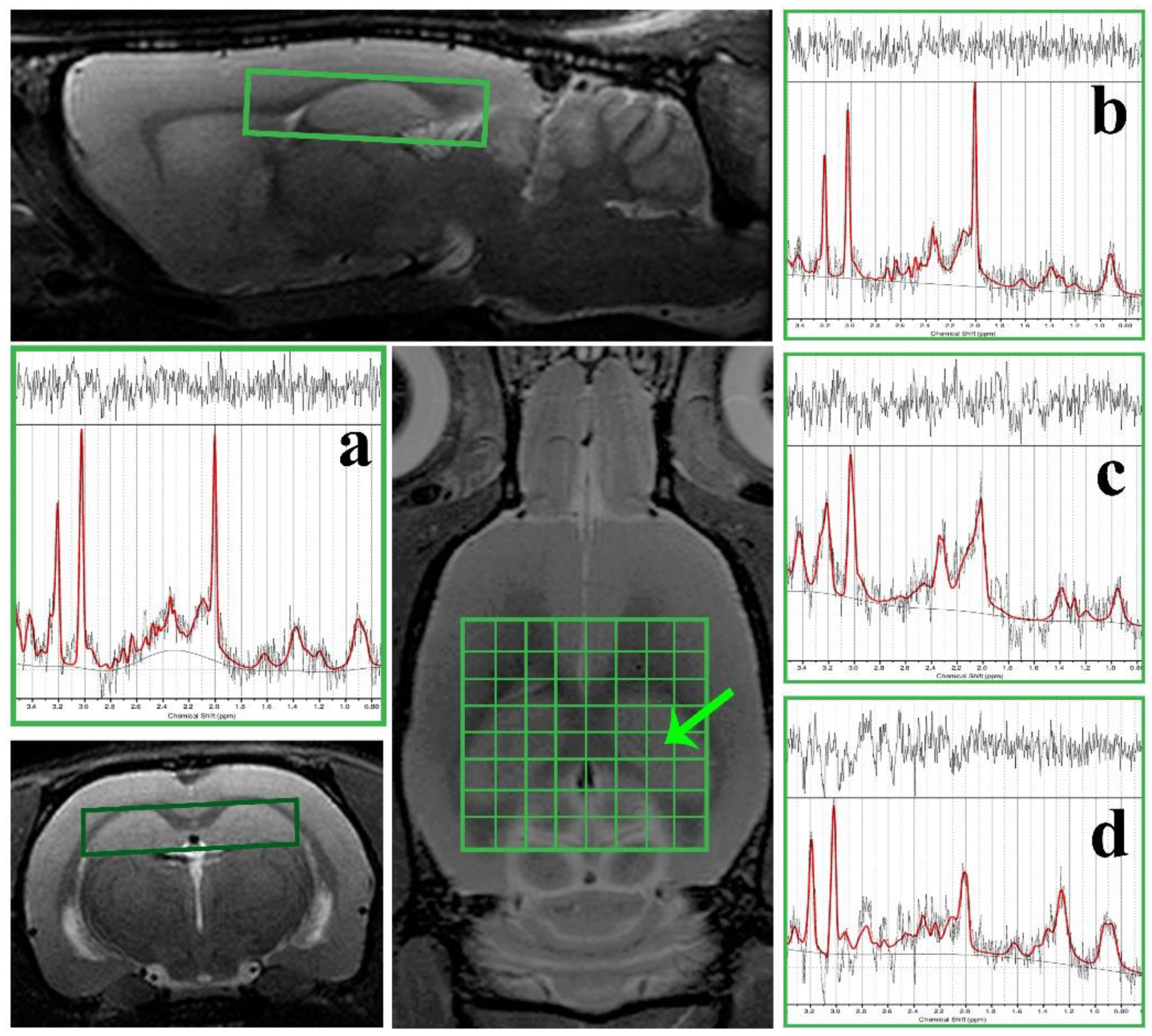 Biomolecules 10 01128 g001