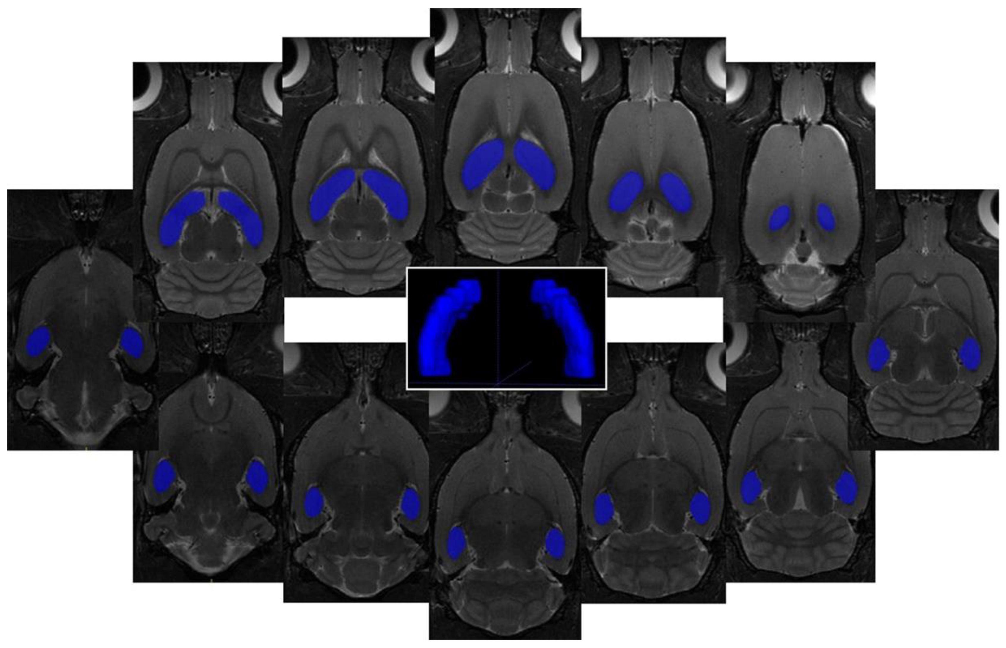 Biomolecules 10 01128 g002