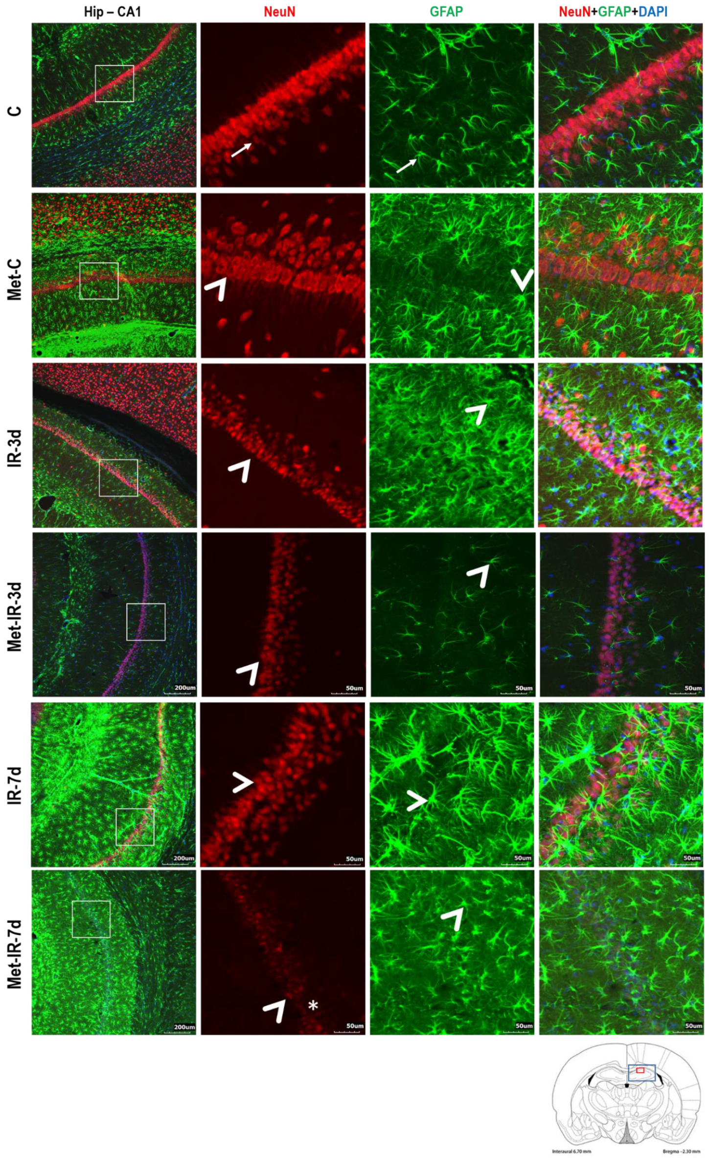 Biomolecules 10 01128 g004