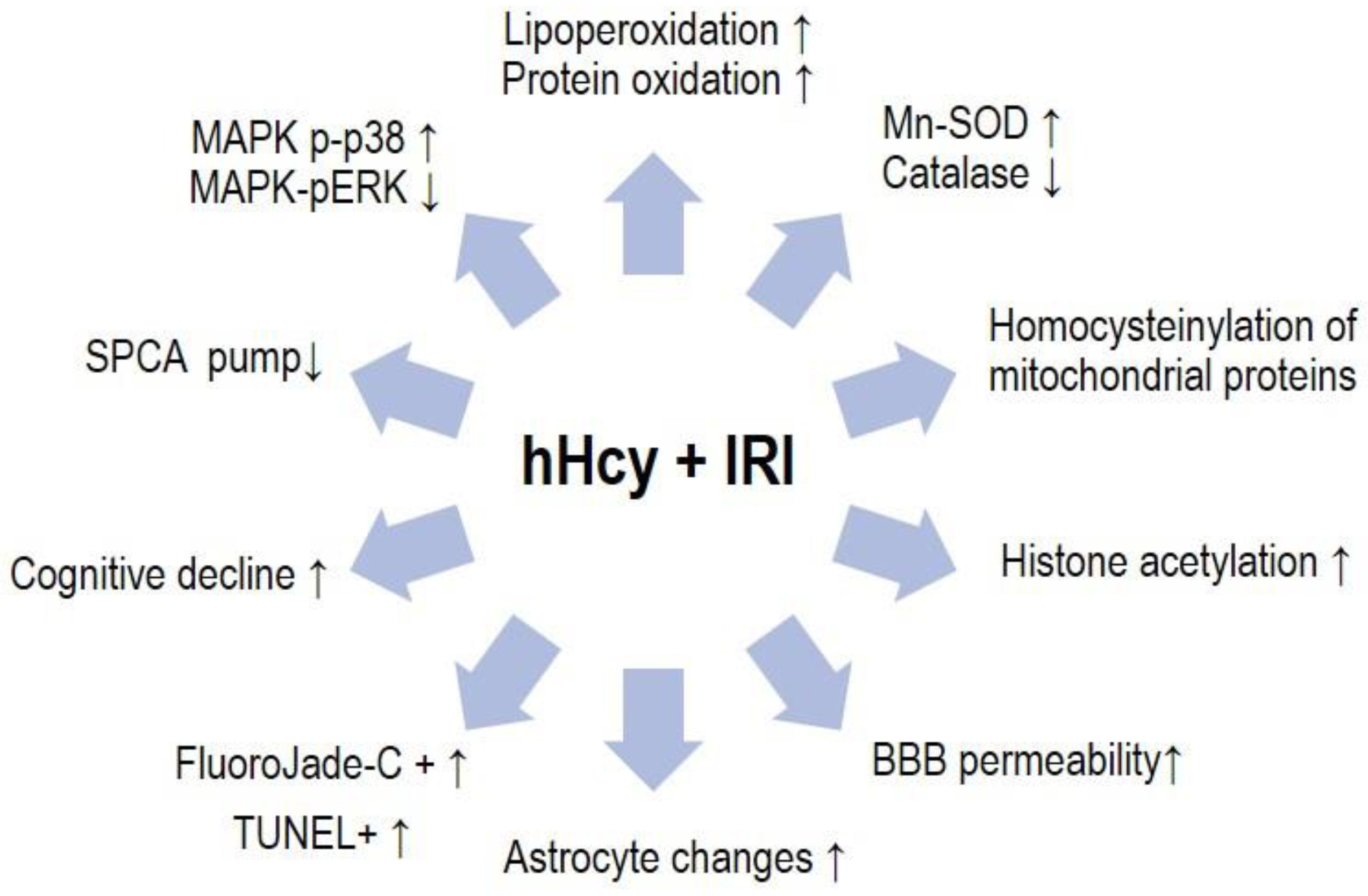 Biomolecules 10 01128 sch001