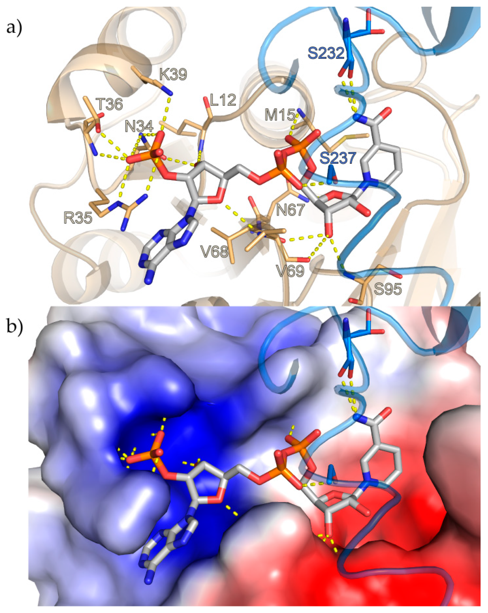 Biomolecules 10 01130 g002 Biomolecules 10 01130 g002