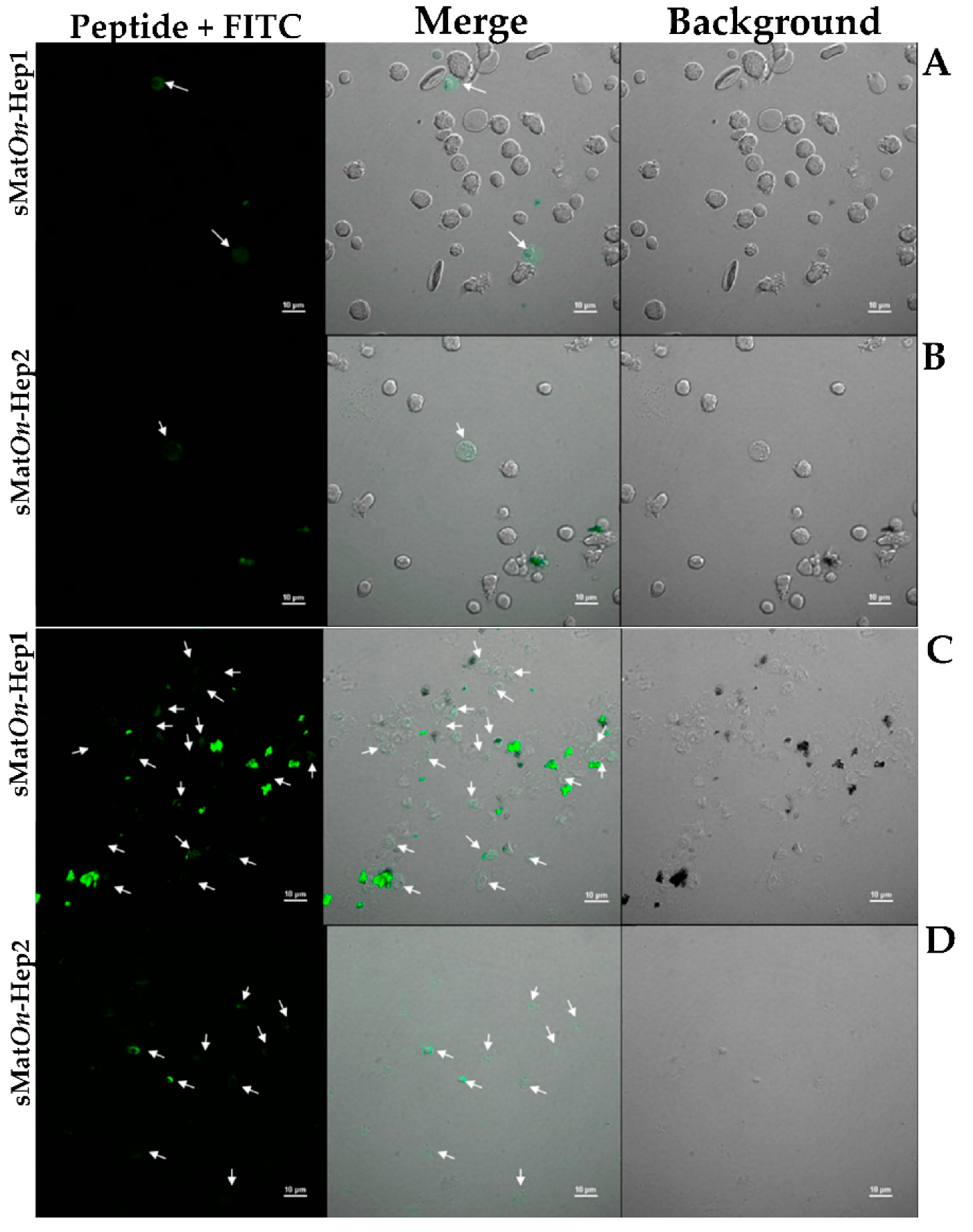 Biomolecules 10 01132 g008