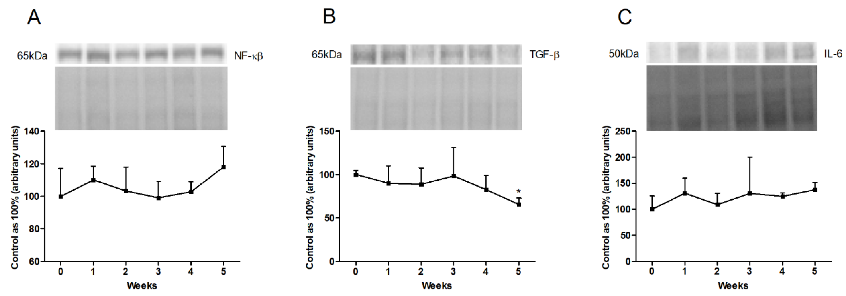 Biomolecules 10 01133 g005 Biomolecules 10 01133 g005