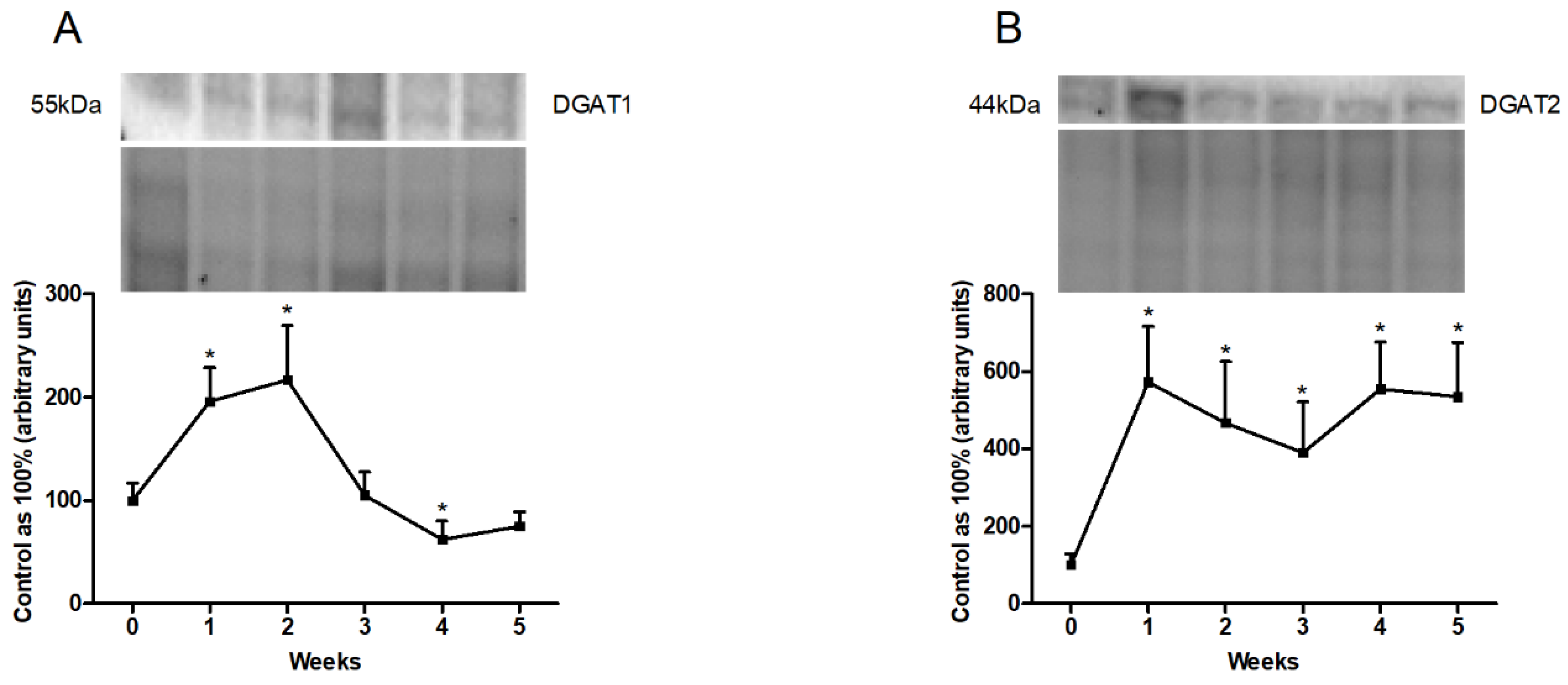 Biomolecules 10 01133 g006 Biomolecules 10 01133 g006