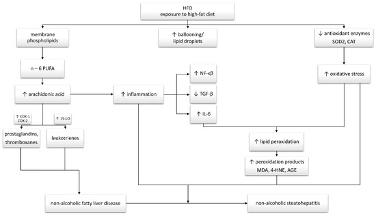 icd 10 code for folic acid deficiency anemia