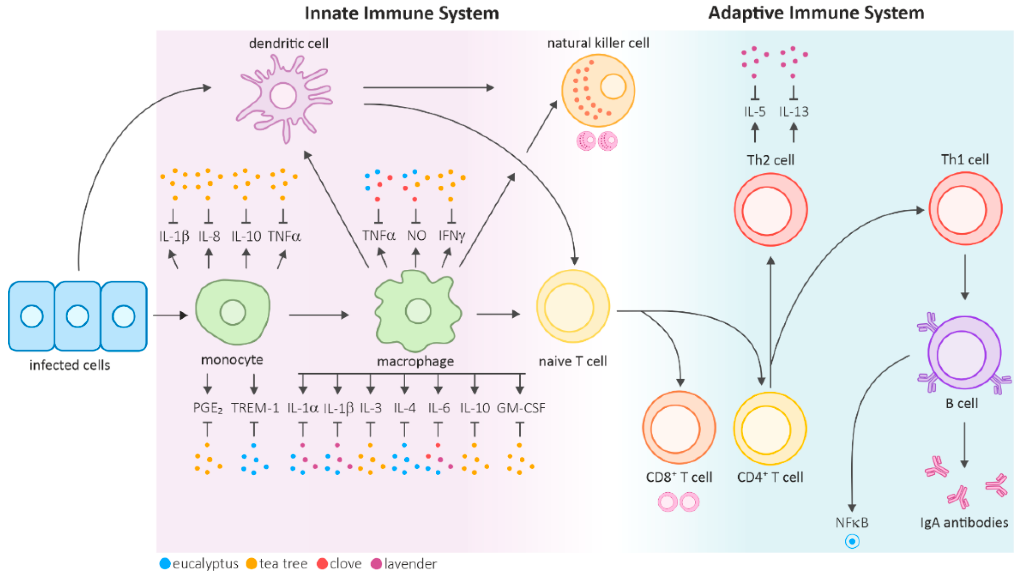 Biomolecules 10 01139 g001 Biomolecules 10 01139 g001