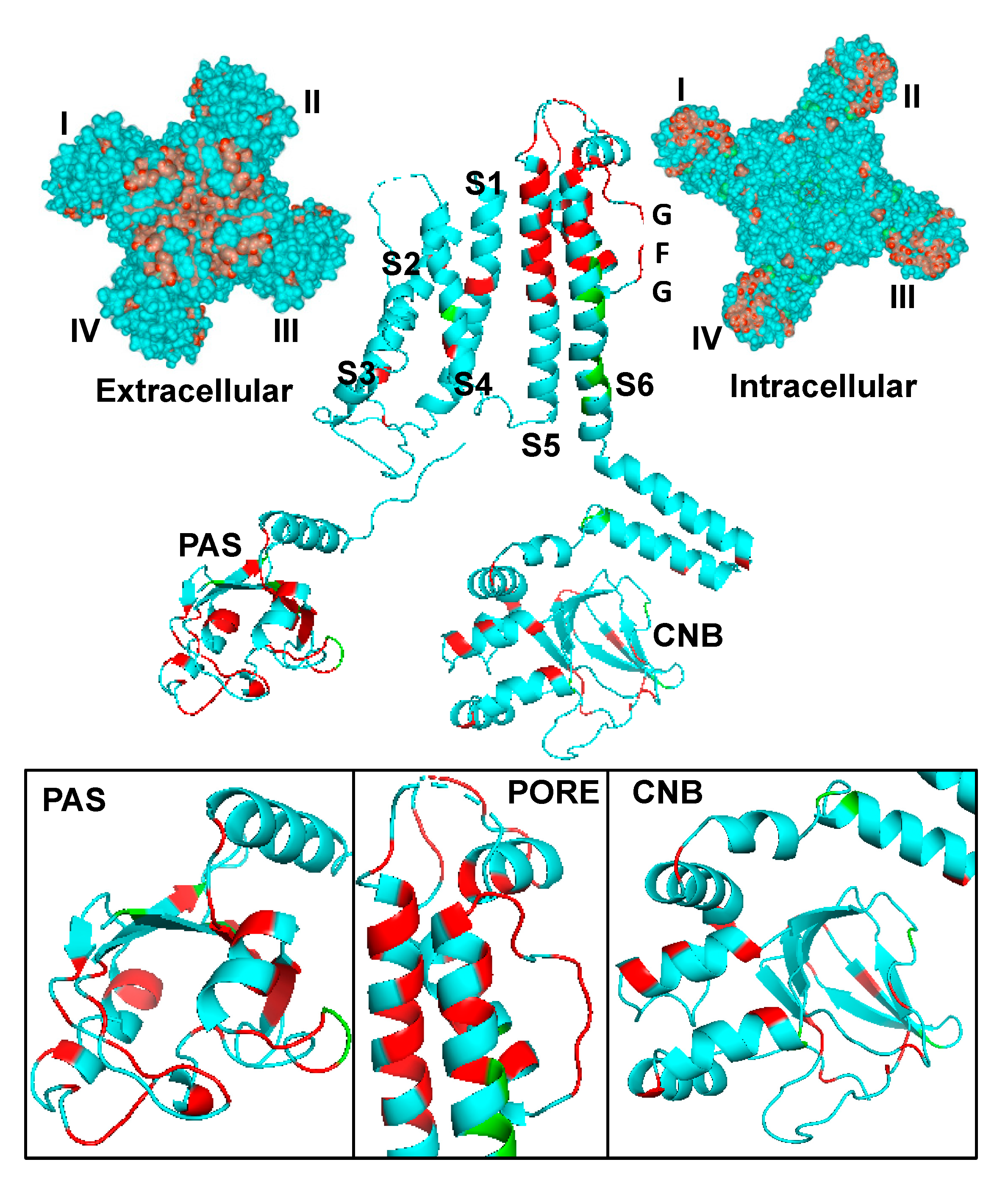 Biomolecules 10 01144 g002 Biomolecules 10 01144 g002