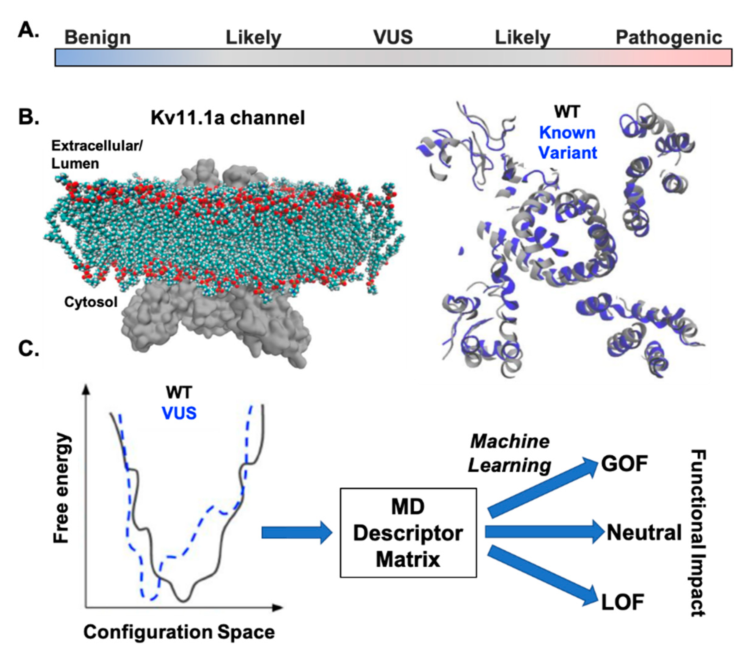 Biomolecules 10 01144 g004 Biomolecules 10 01144 g004