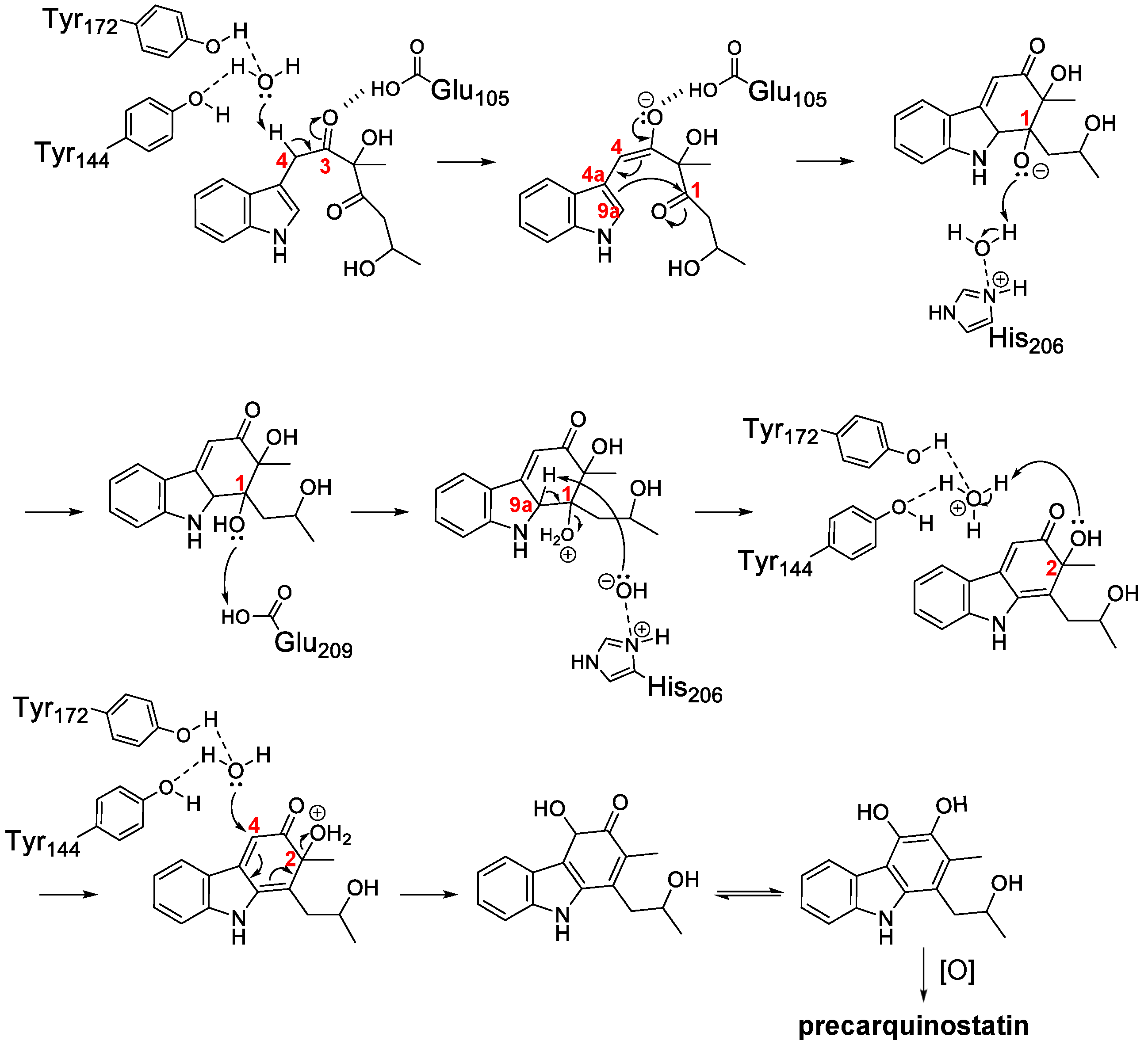Biomolecules 10 01147 g004 Biomolecules 10 01147 g004