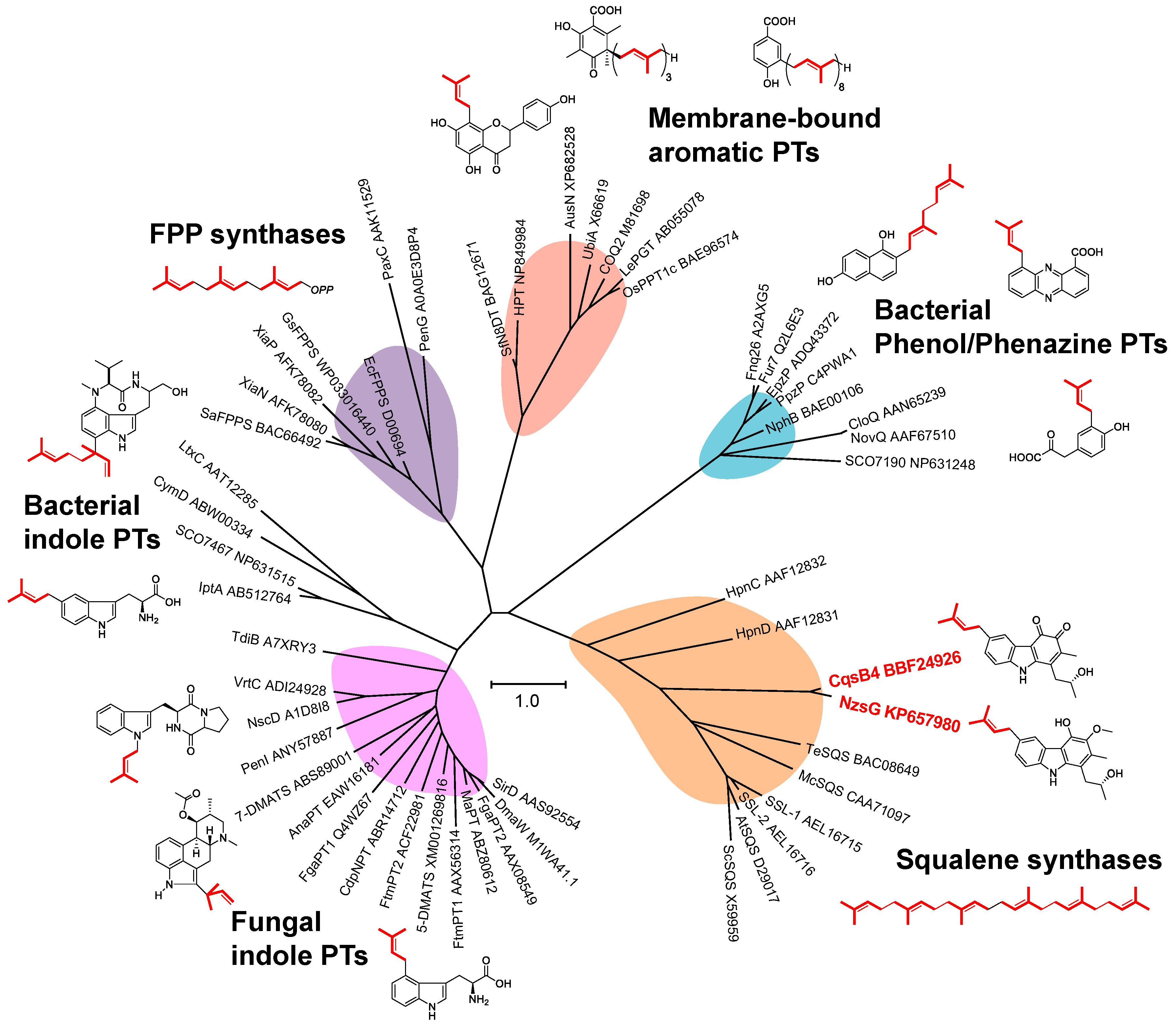 Biomolecules 10 01147 g006 Biomolecules 10 01147 g006