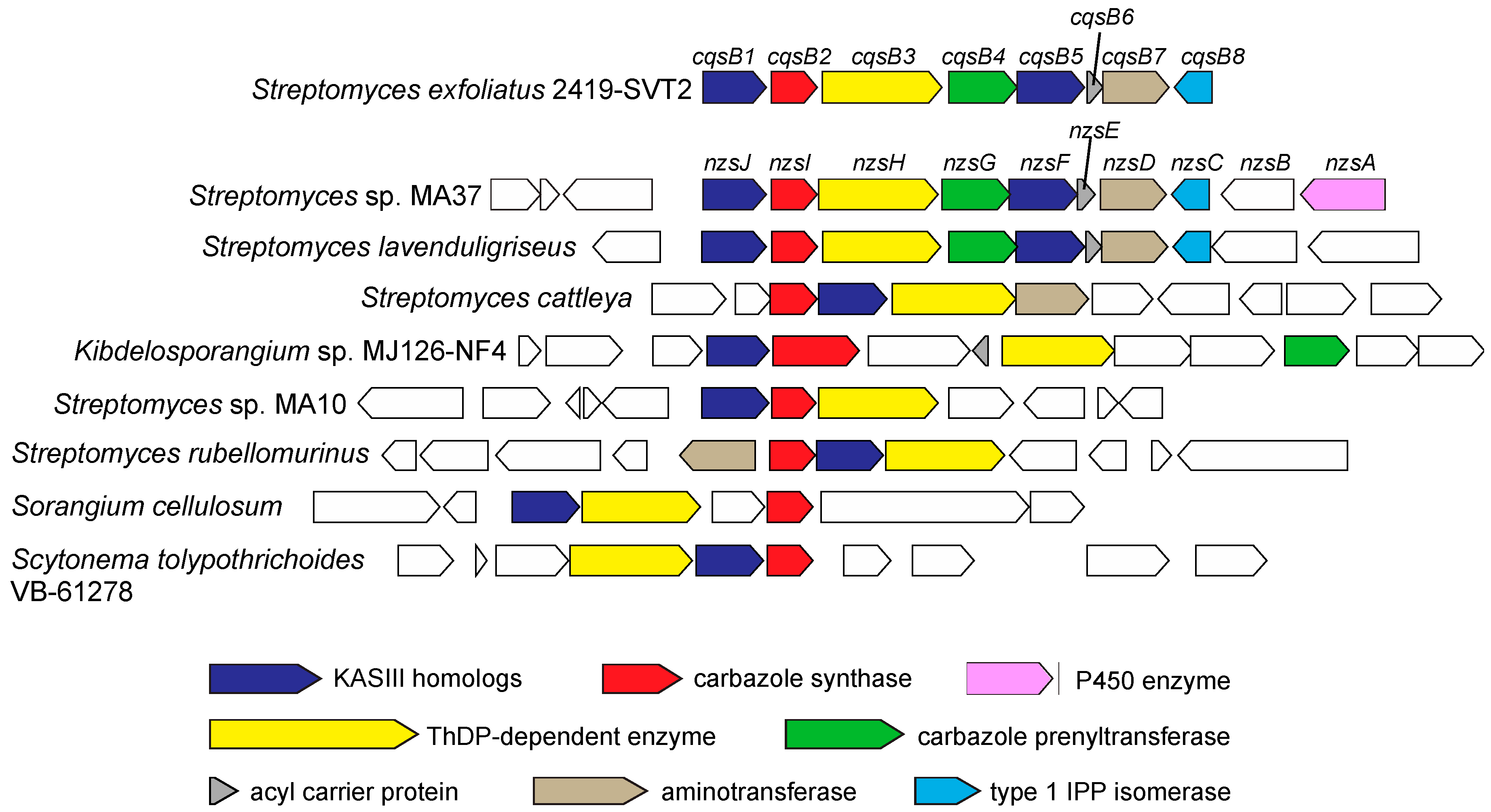 Biomolecules 10 01147 g008 Biomolecules 10 01147 g008