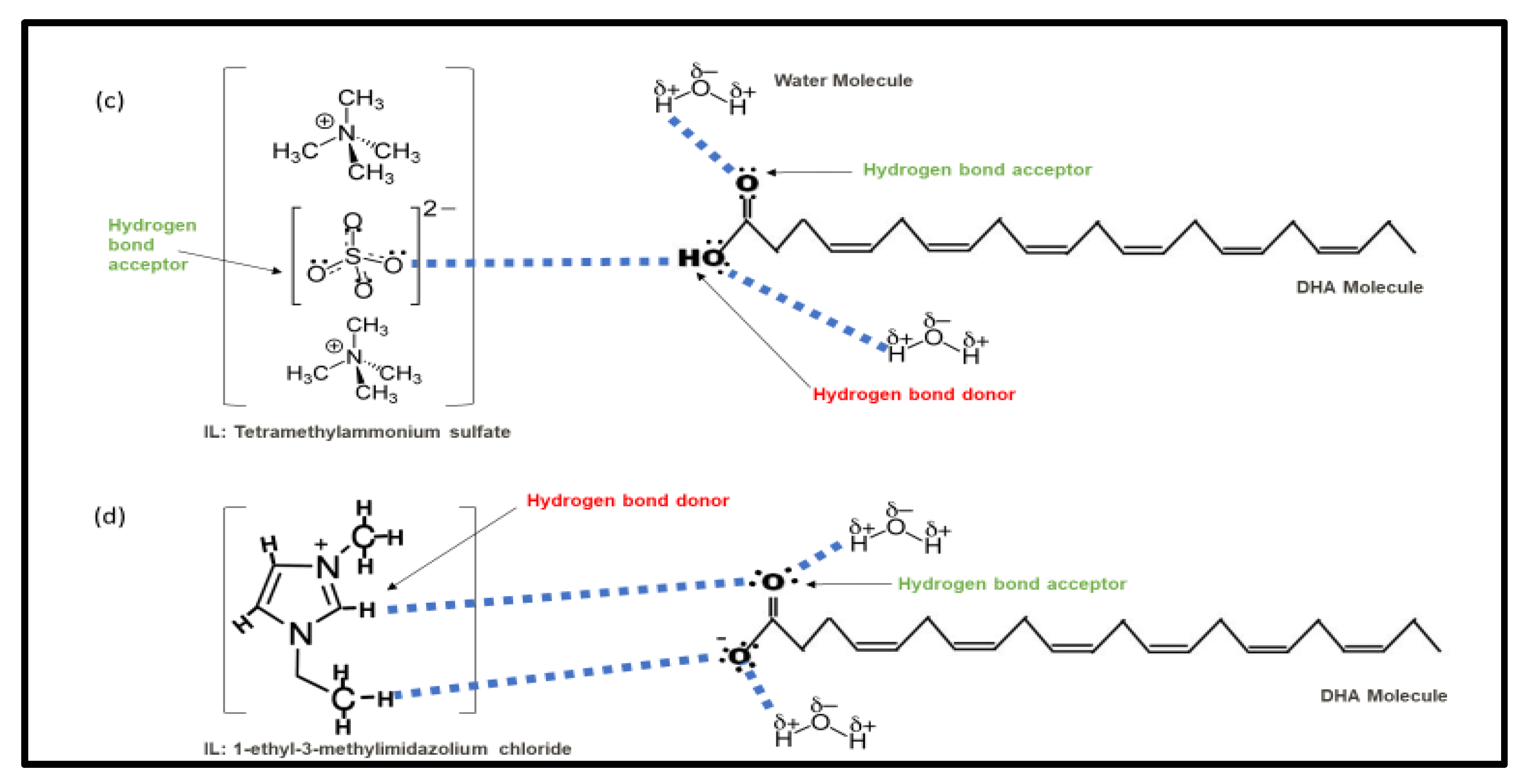 Biomolecules 10 01149 g006b Biomolecules 10 01149 g006b