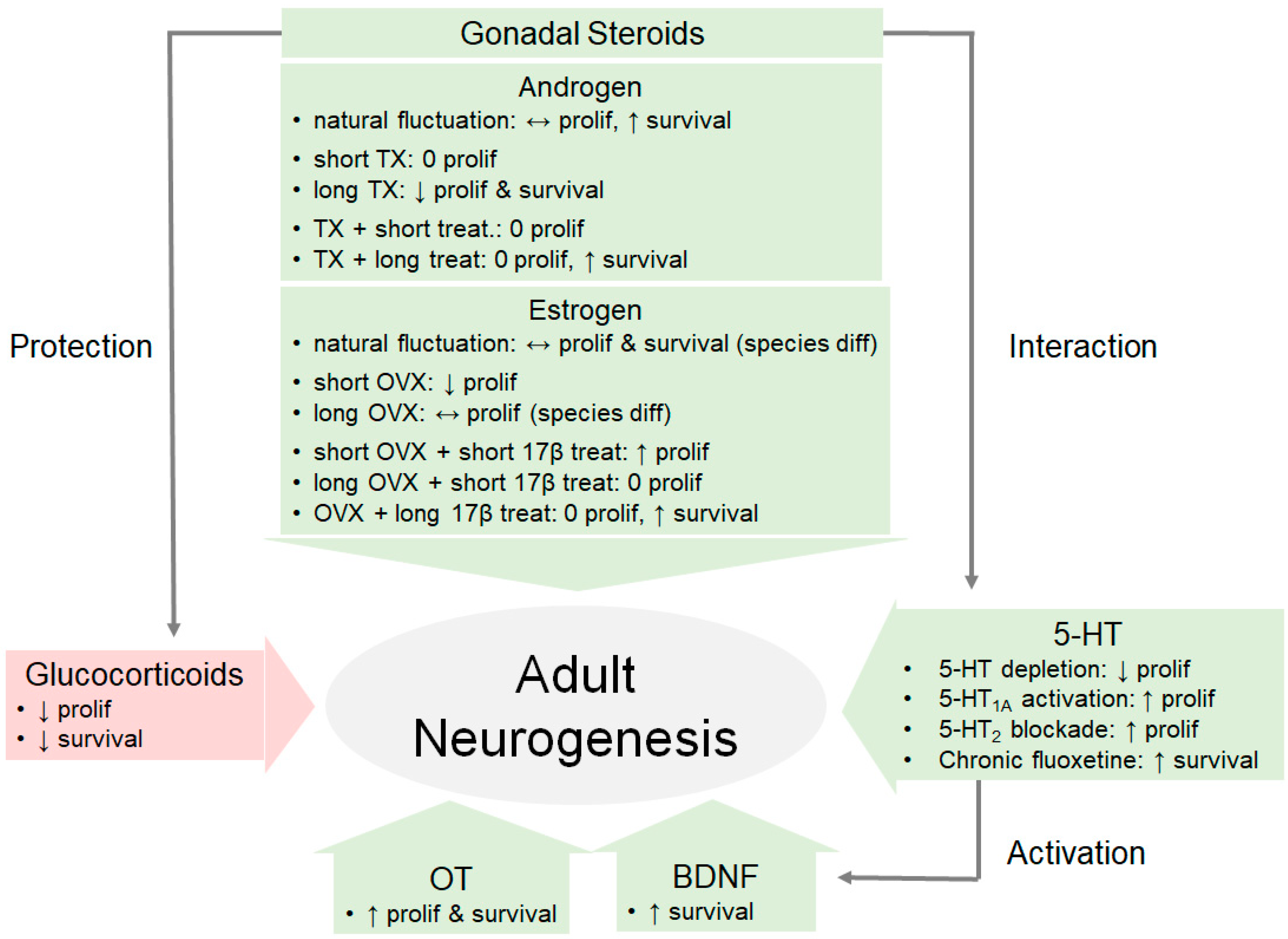 Biomolecules 10 01151 g002 Biomolecules 10 01151 g002