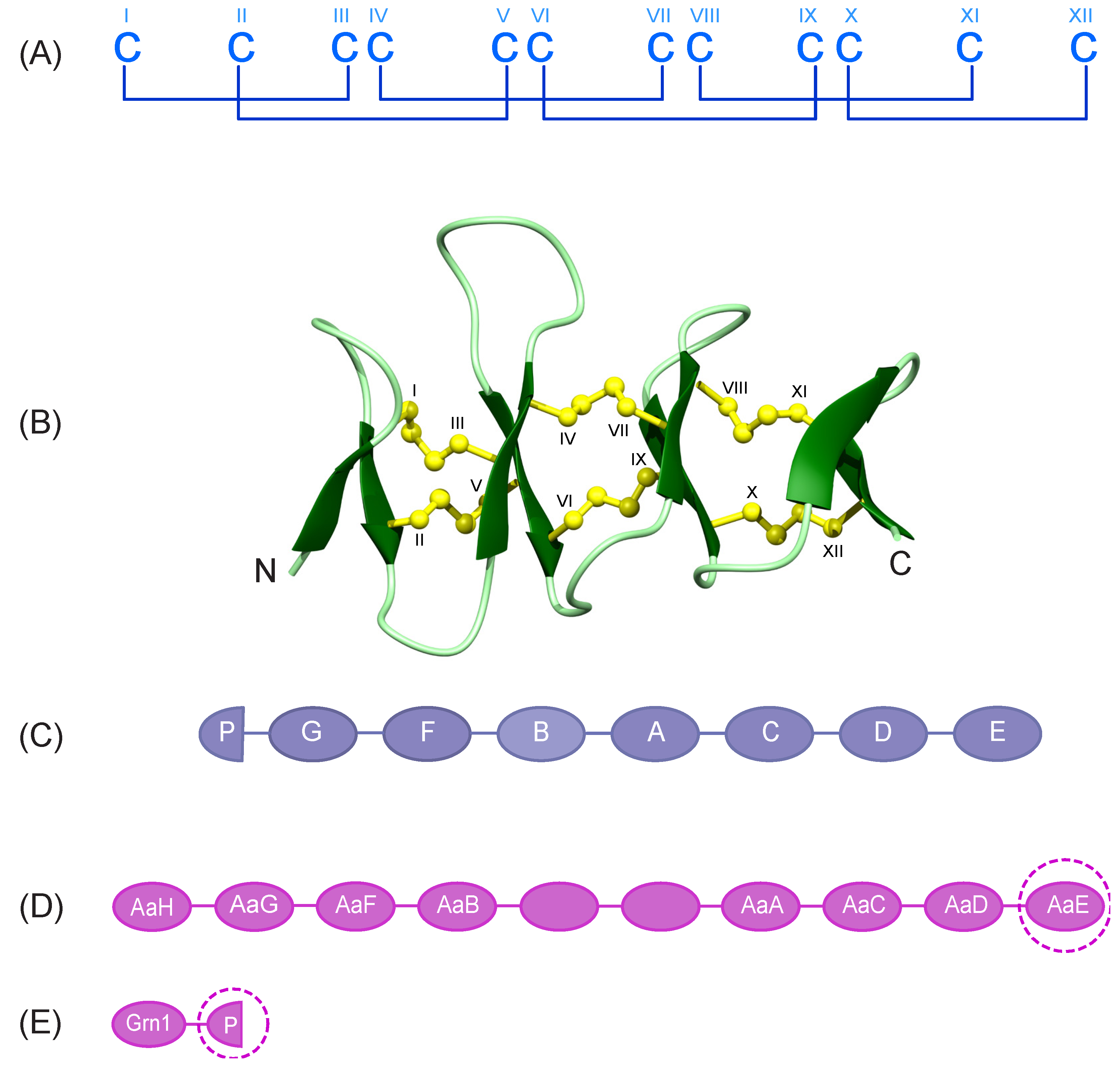 Biomolecules 10 01152 g001
