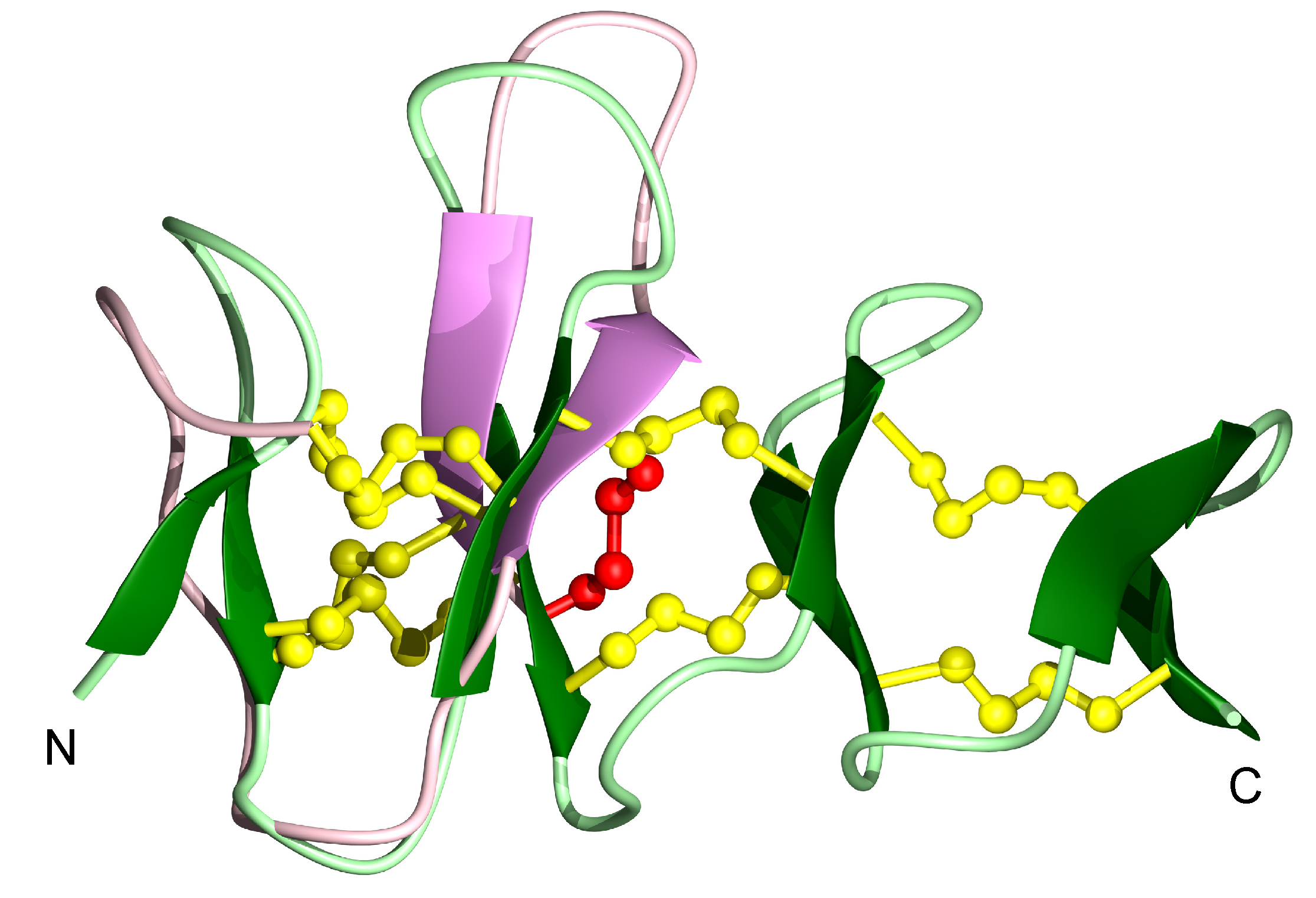 Biomolecules 10 01152 g005