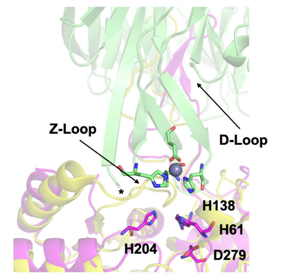 Biomolecules 10 01156 g001 550