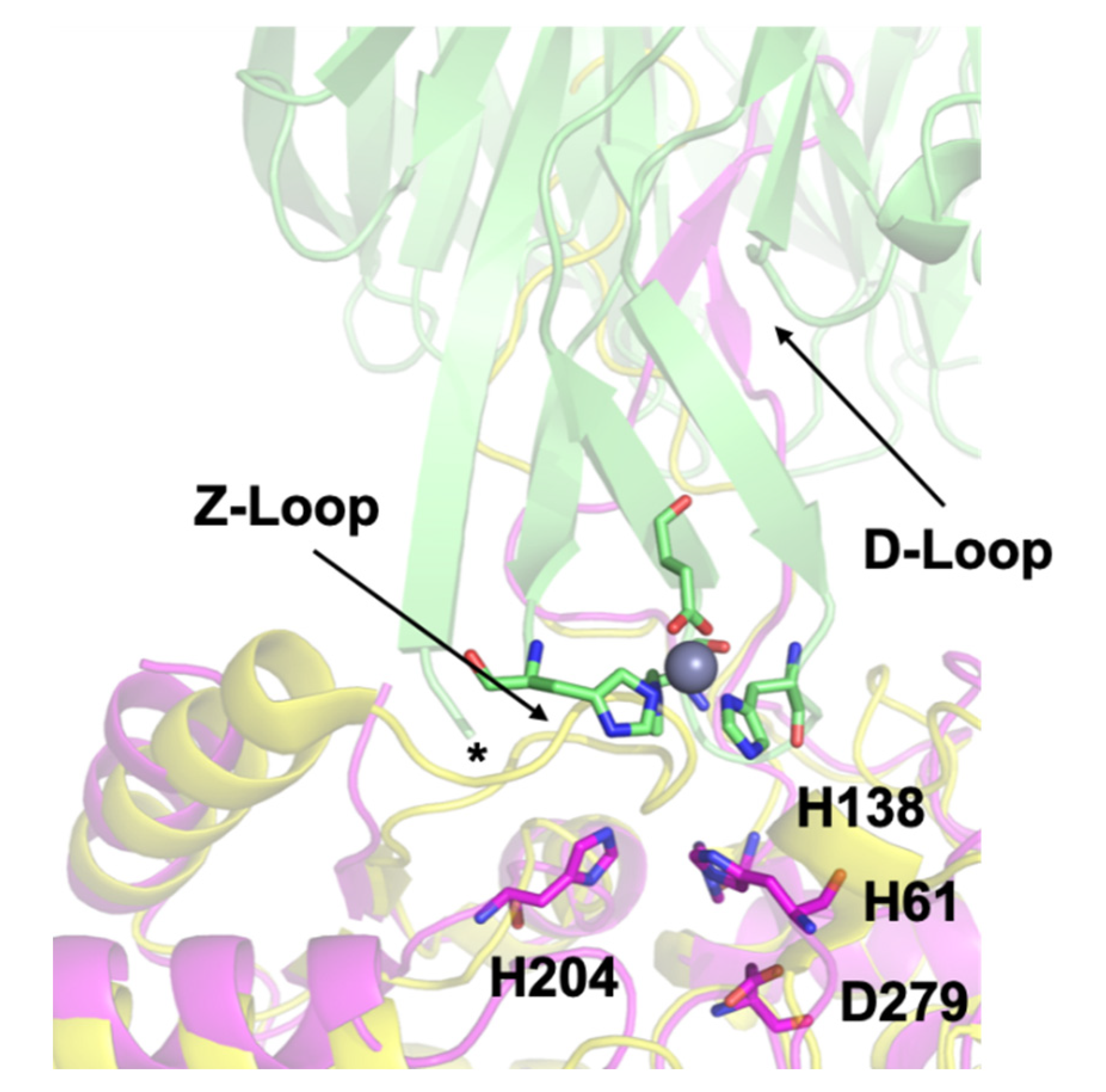 Biomolecules 10 01156 g001