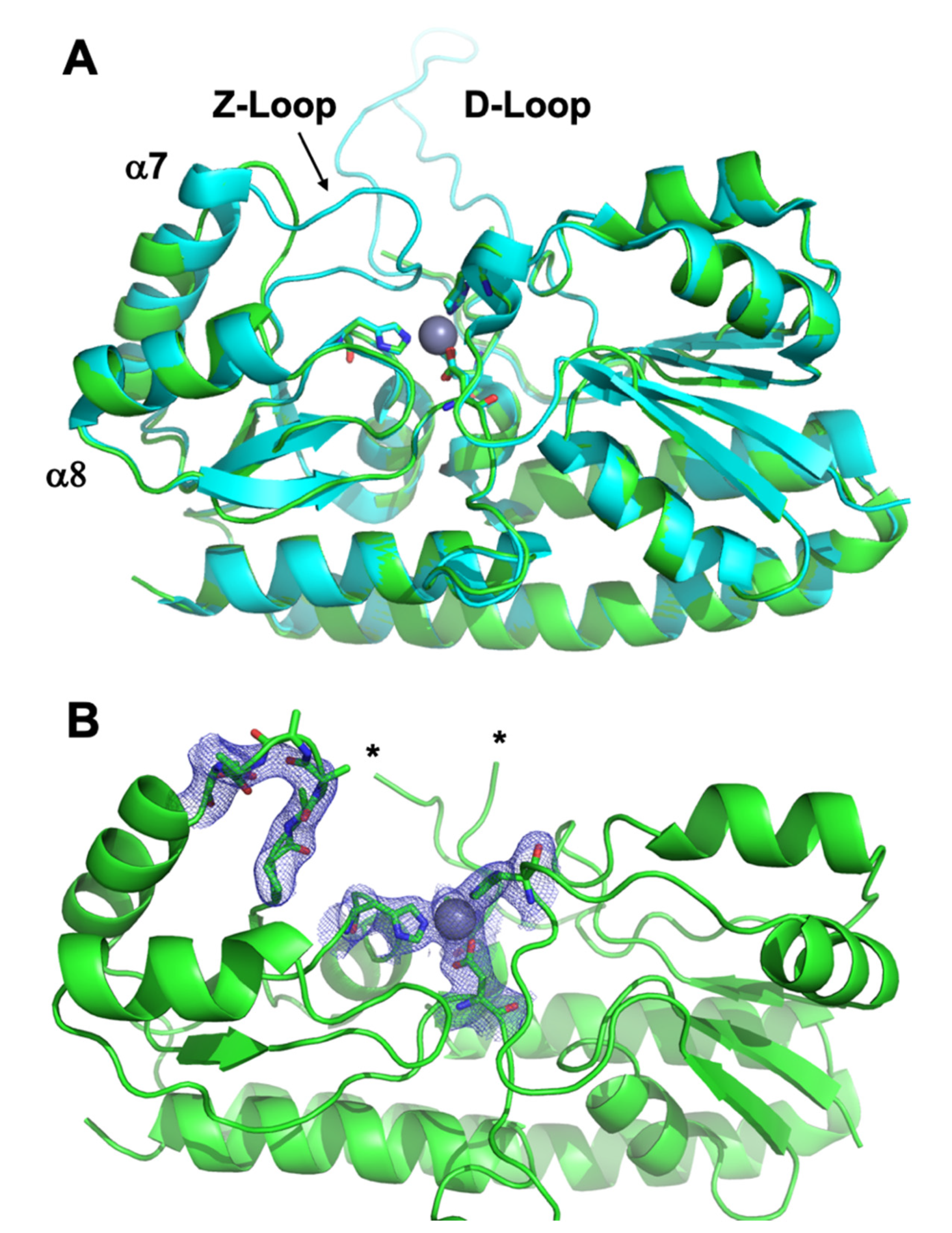 Biomolecules 10 01156 g006