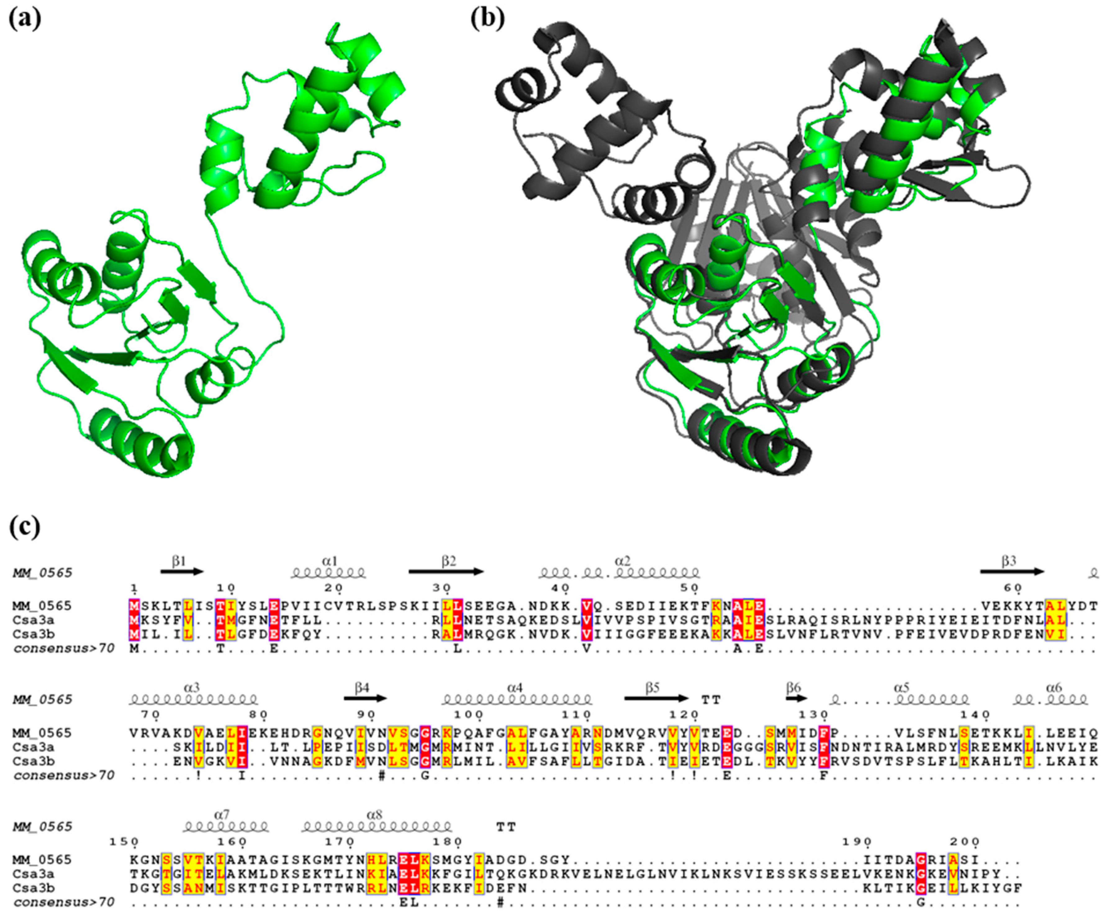 Biomolecules 10 01161 g002