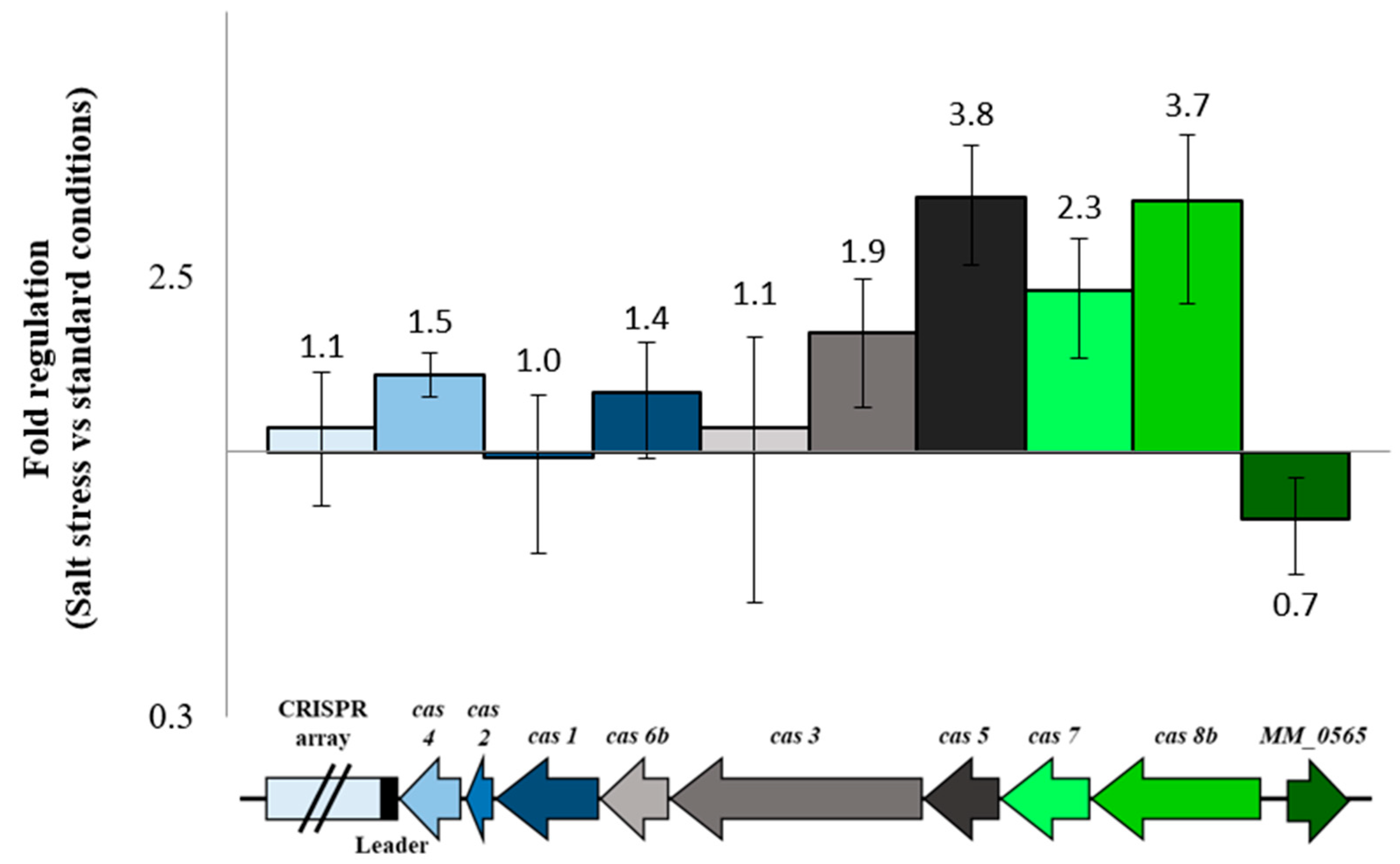 Biomolecules 10 01161 g004
